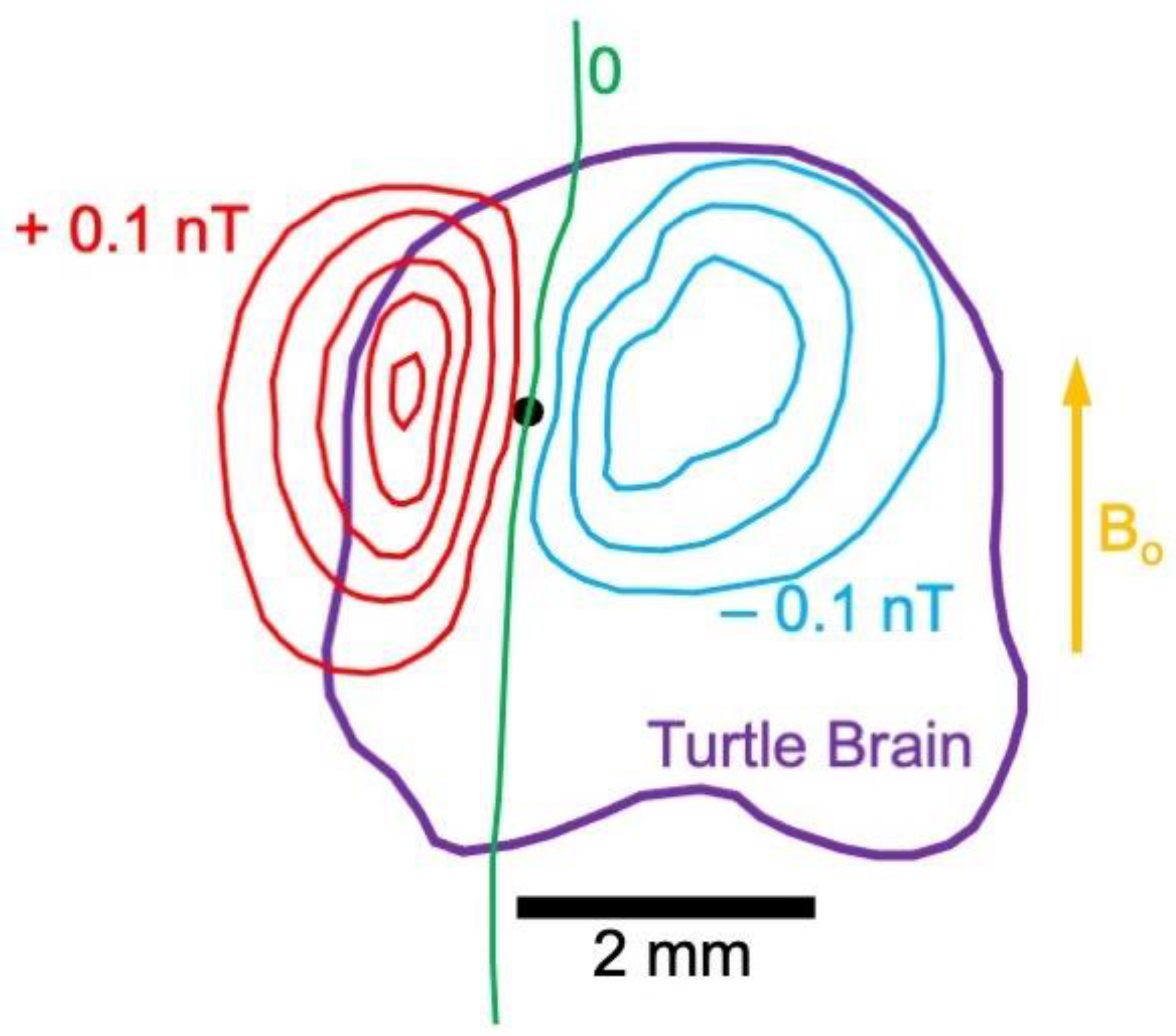 Sensors 23 01337 g011
