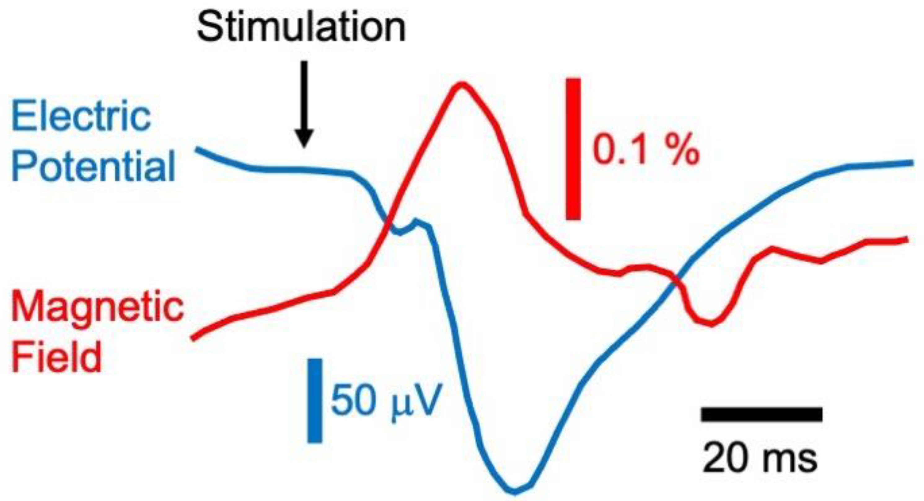 Sensors 23 01337 g013