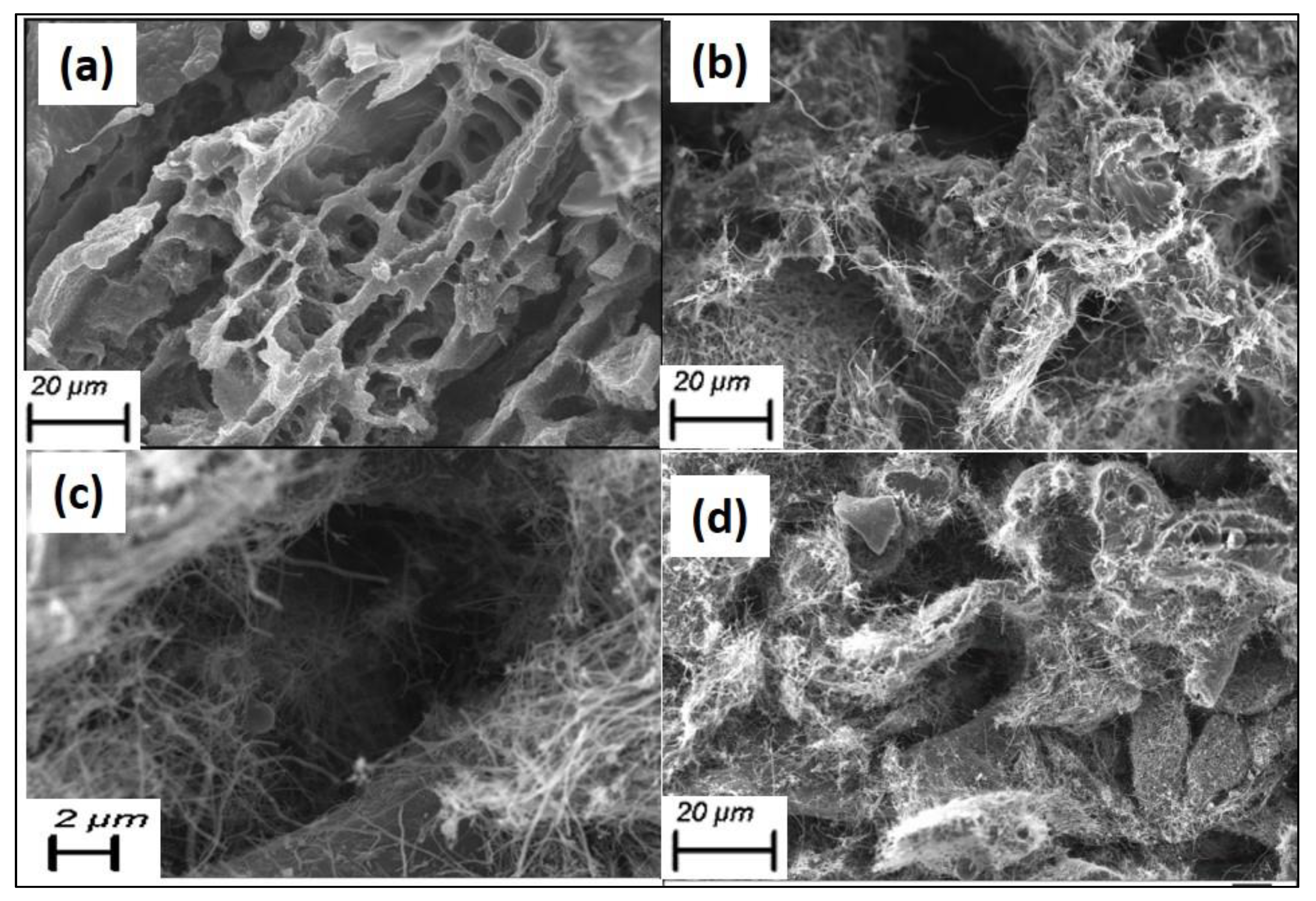 Sensors 23 01373 g003