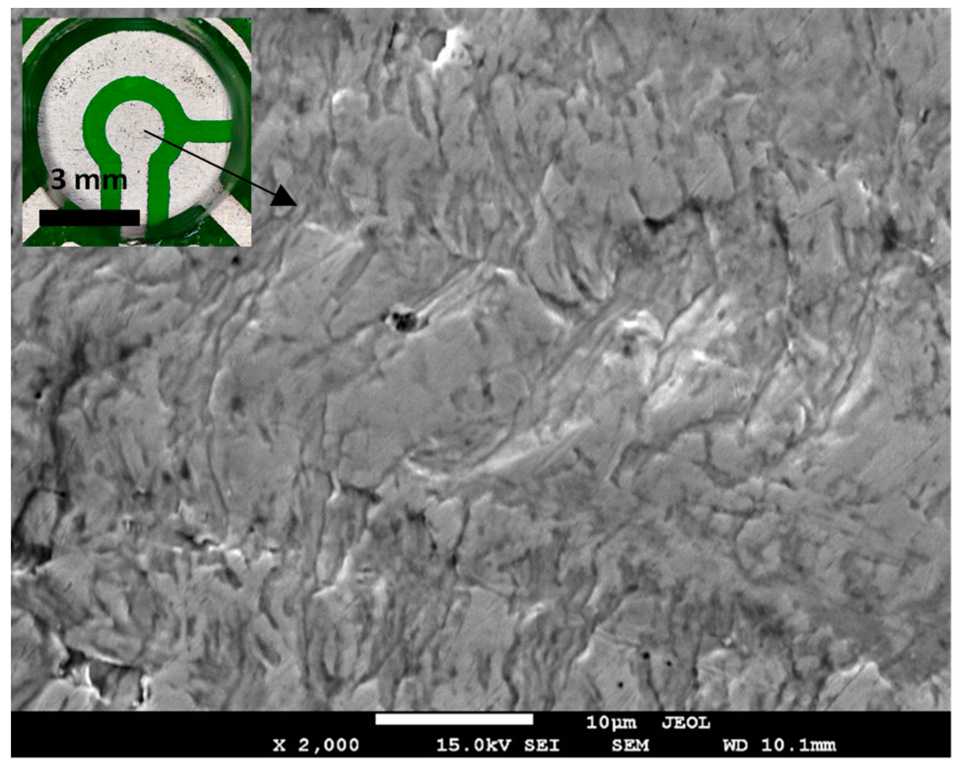 Sensors 23 01424 g006