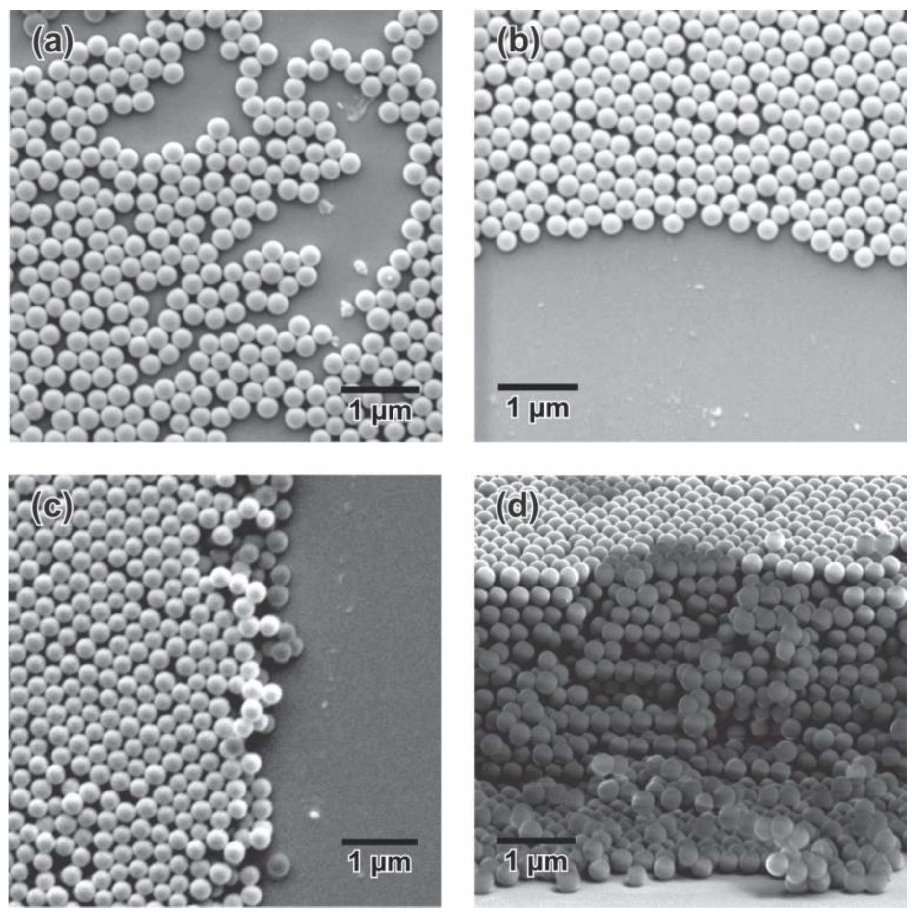 Sensors 23 01433 g007
