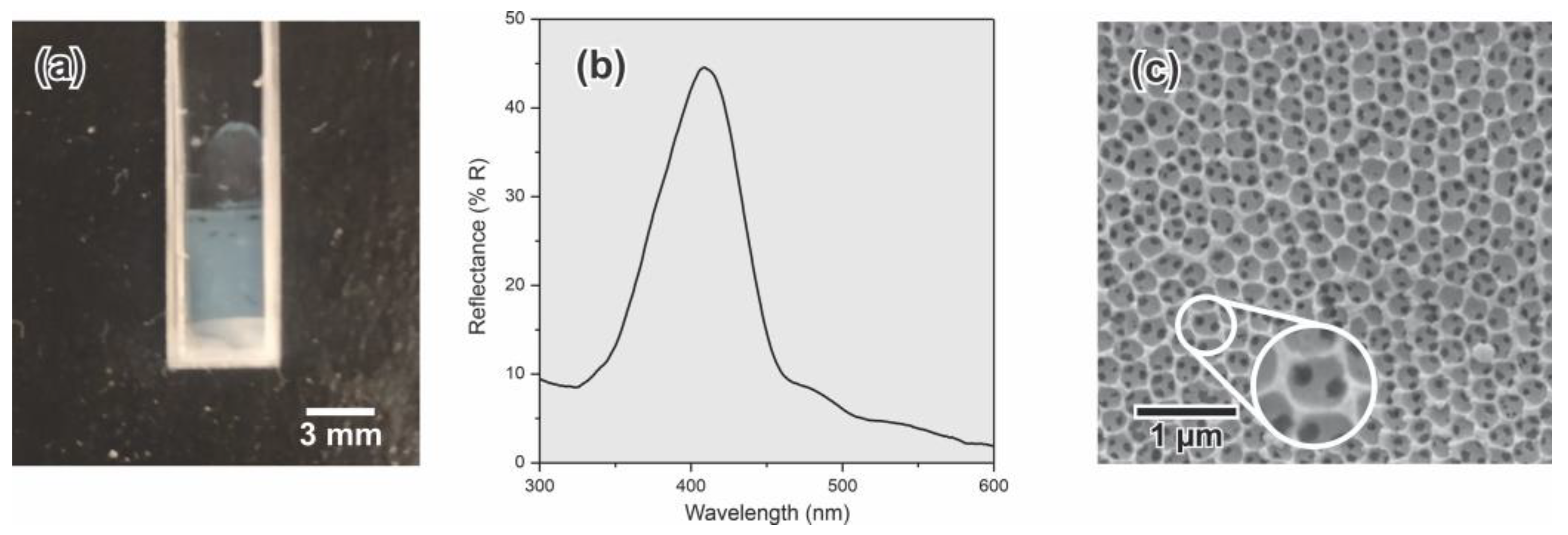 Sensors 23 01433 g010