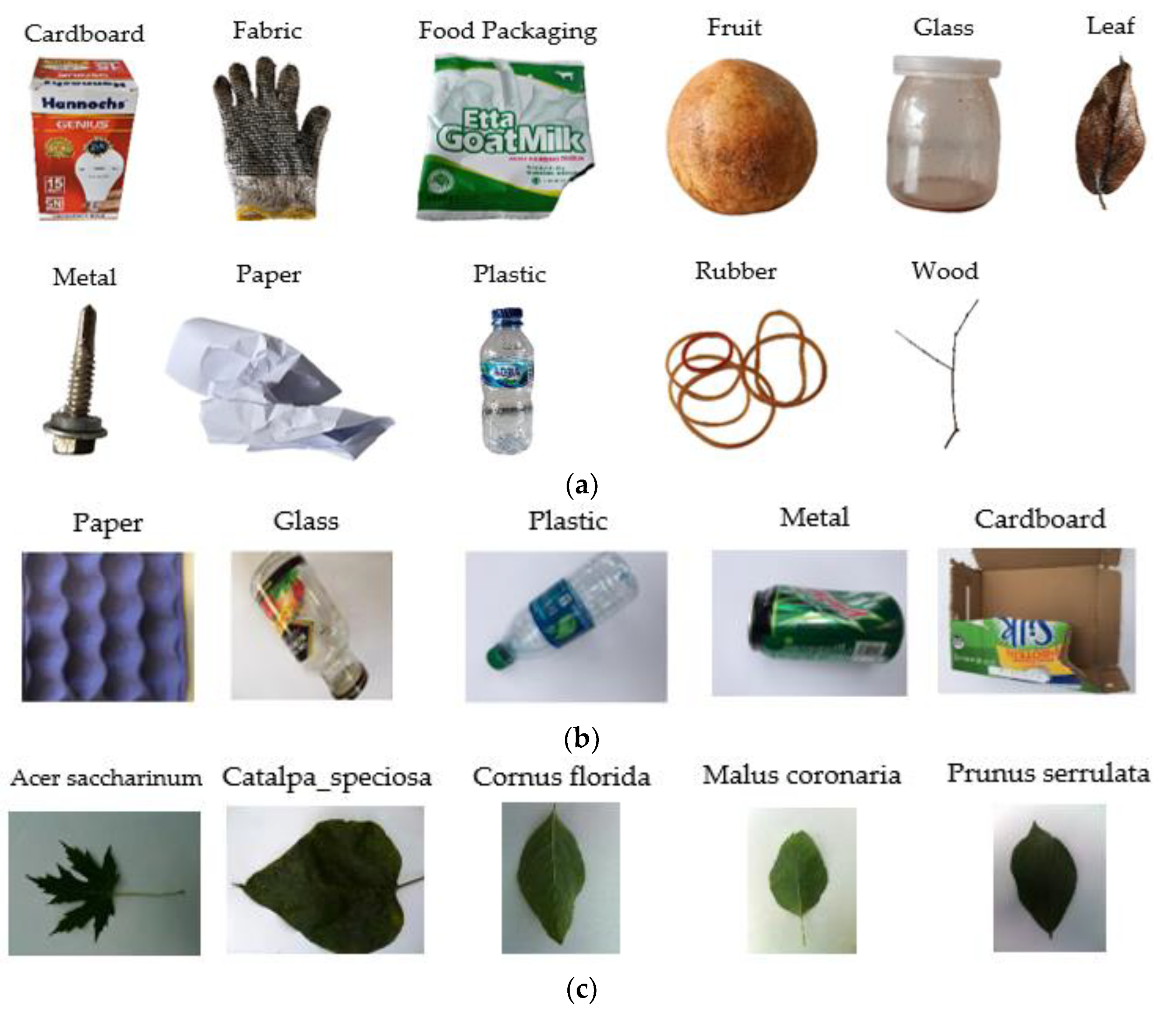 Sensors 23 01499 g003