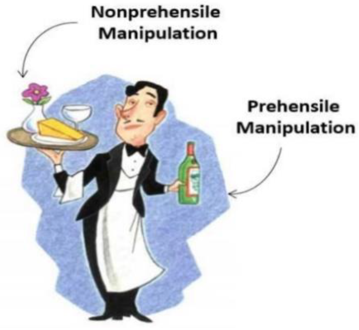 Sensors 23 01513 g001