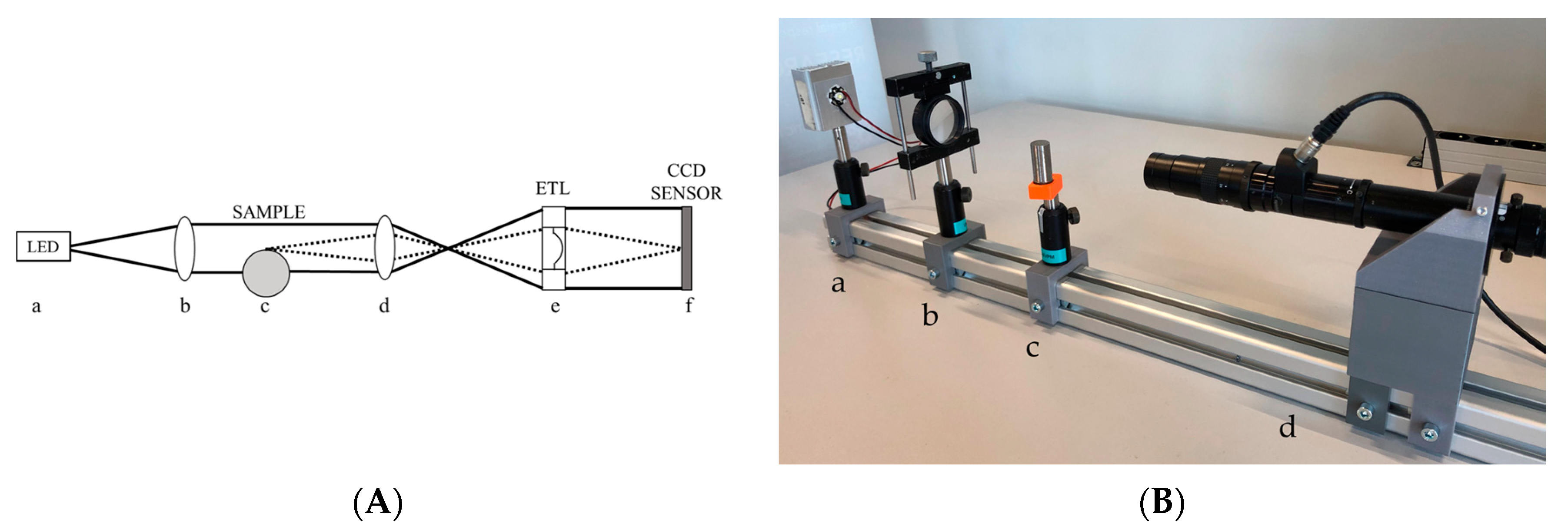 Sensors 23 01584 g002
