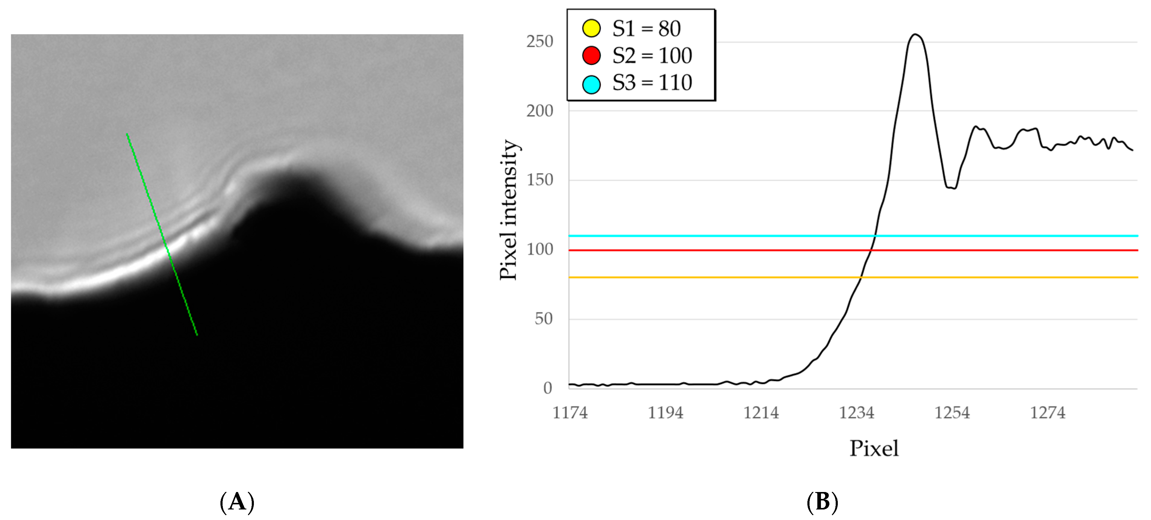 Sensors 23 01584 g008