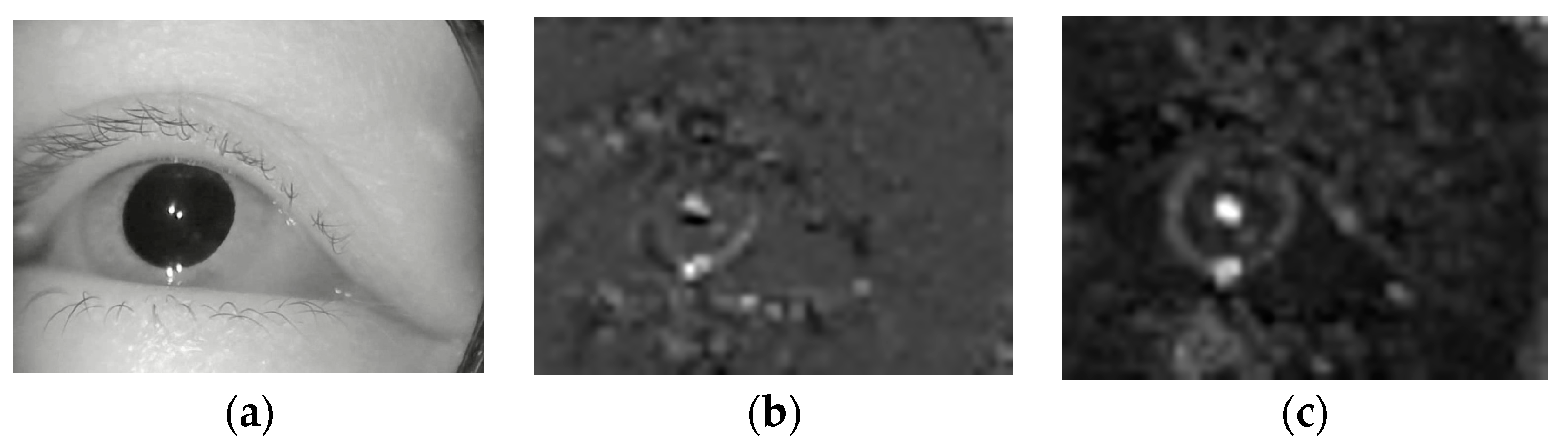 Sensors 23 01592 g007