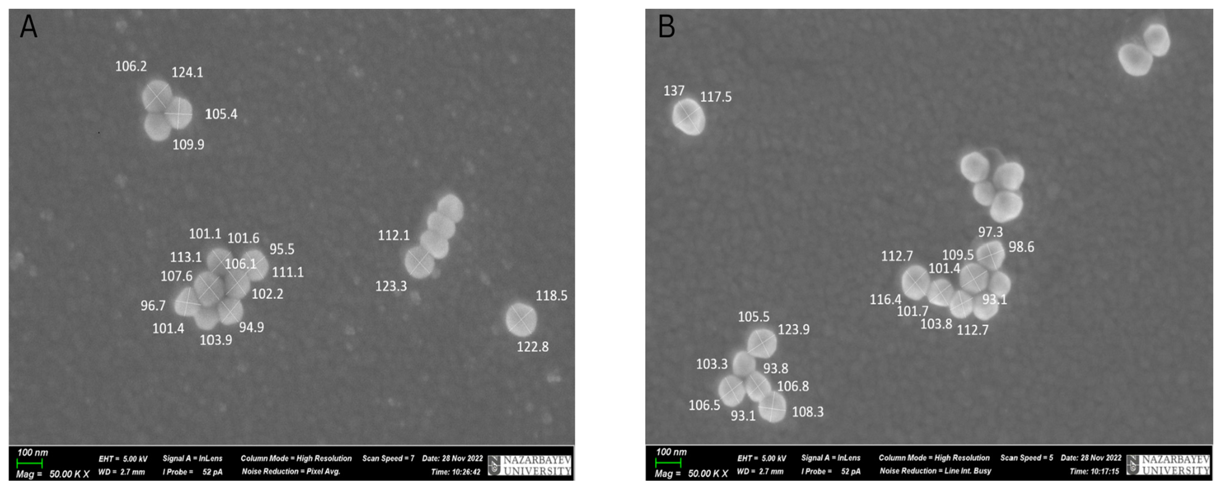 Sensors 23 01605 g002