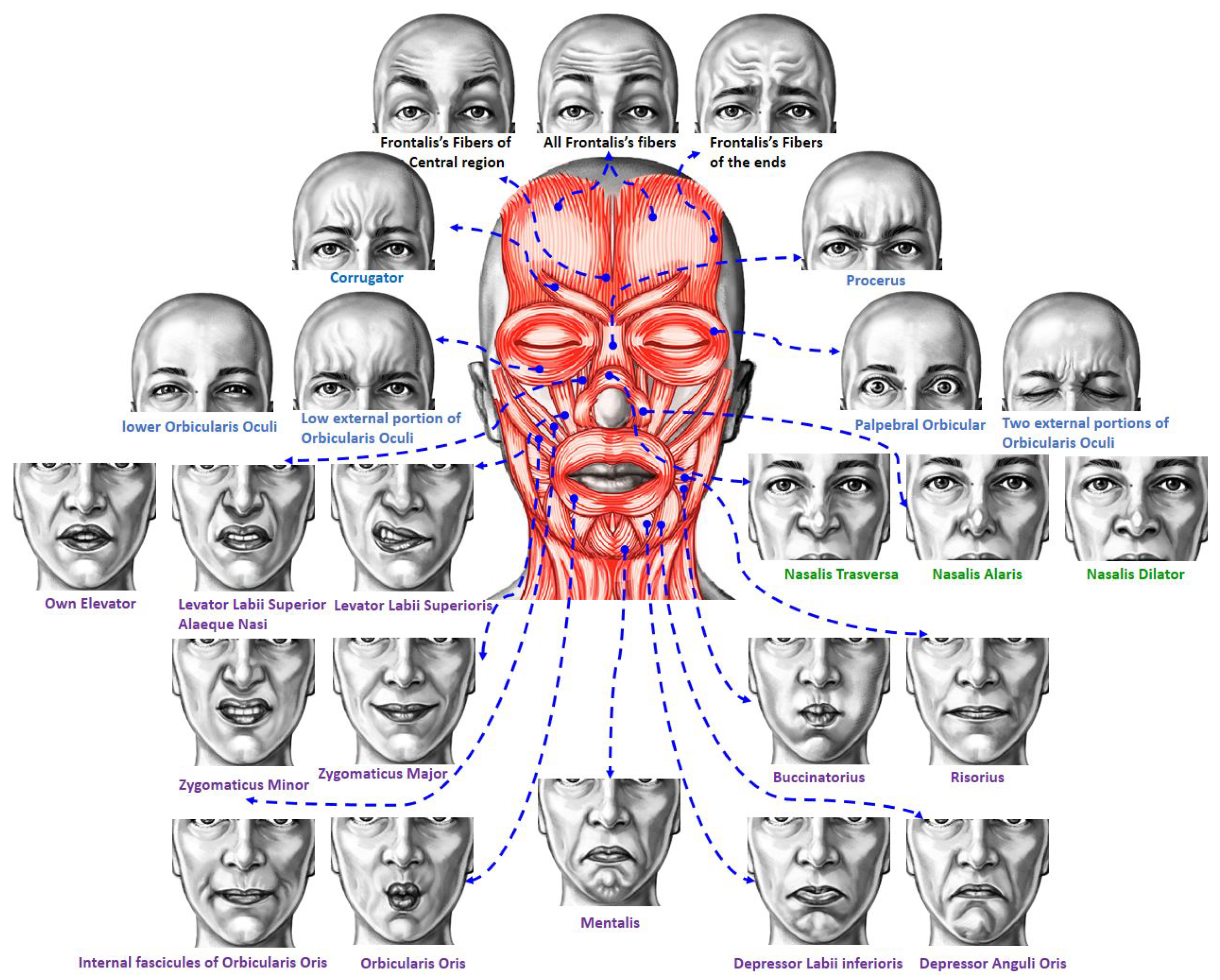 Sensors 23 01614 g001