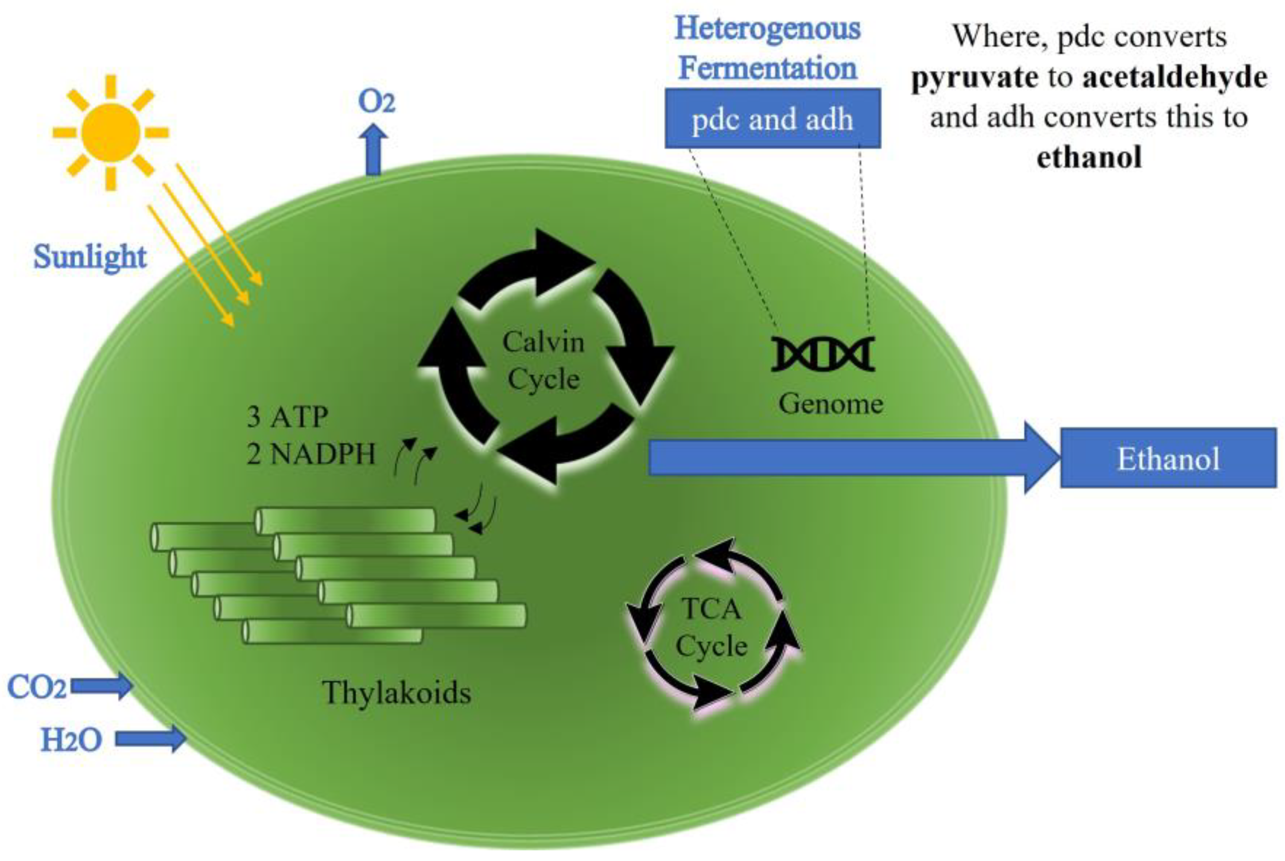 Sensors 23 01644 g001