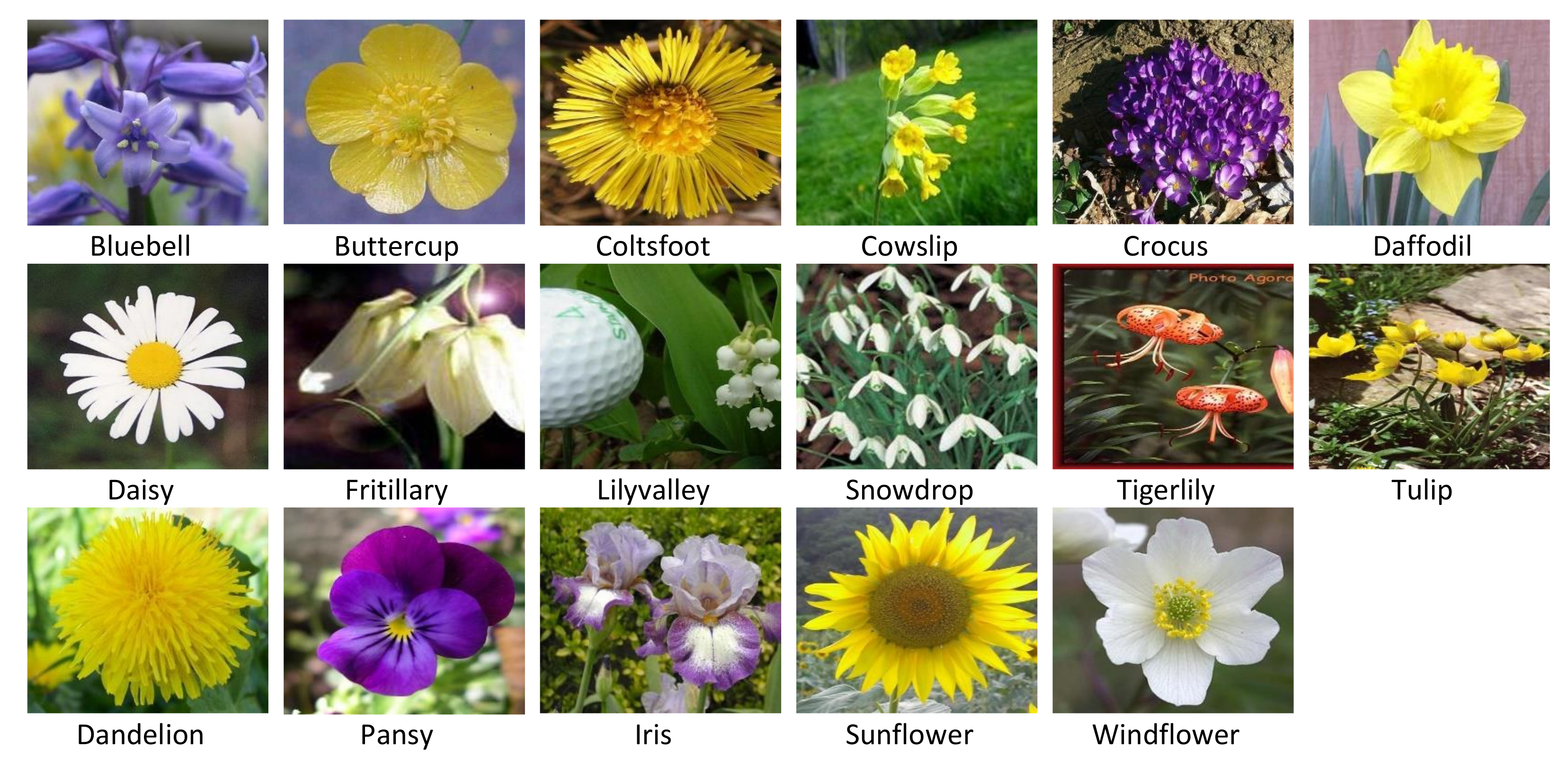 Sensors 23 01653 g008