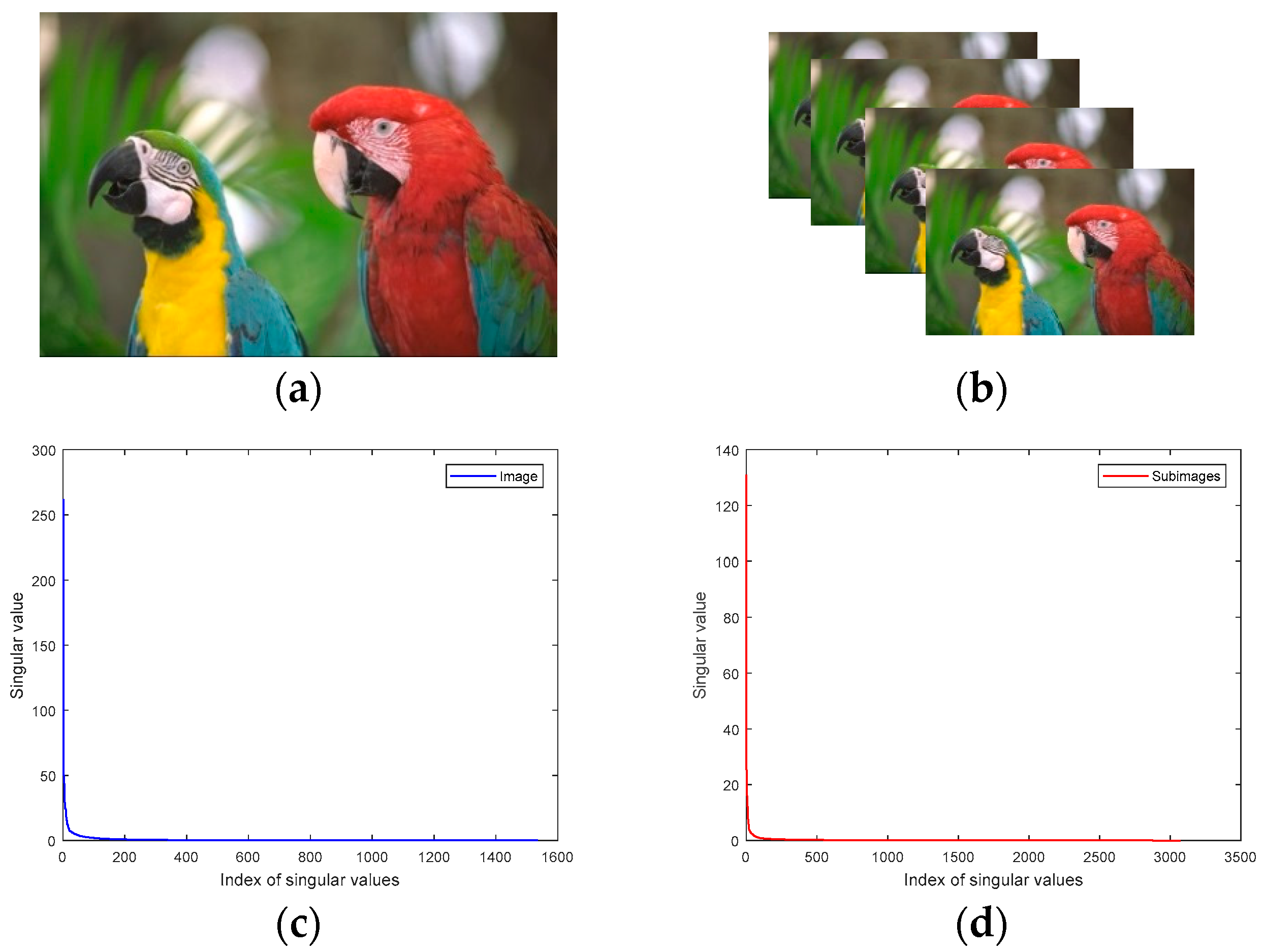 Sensors 23 01706 g001 Sensors 23 01706 g001