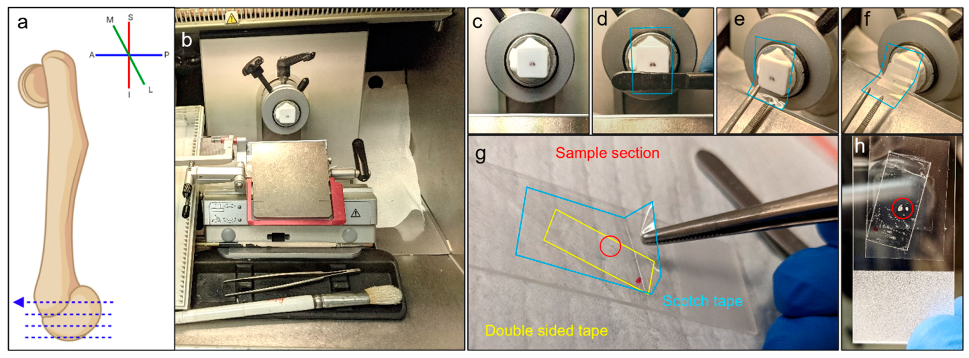 Sensors 23 01835 g001 Sensors 23 01835 g001