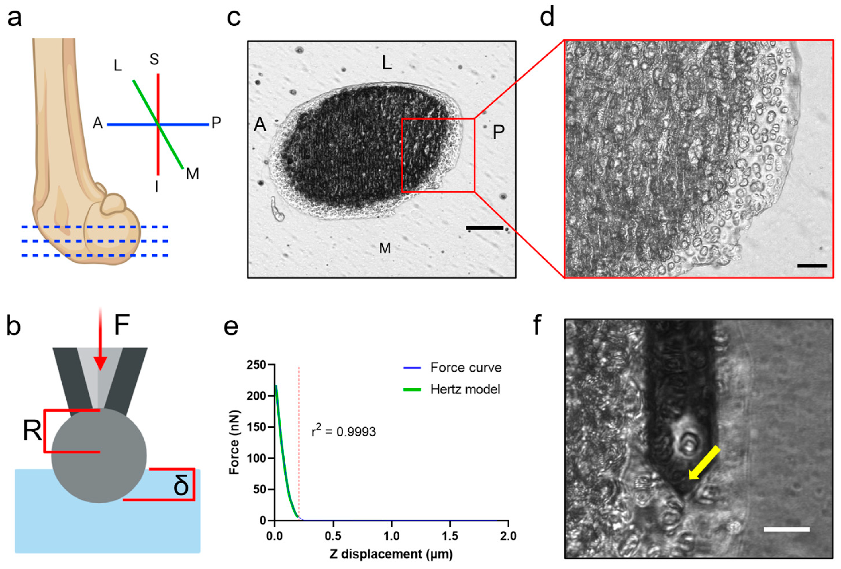 Sensors 23 01835 g002 Sensors 23 01835 g002
