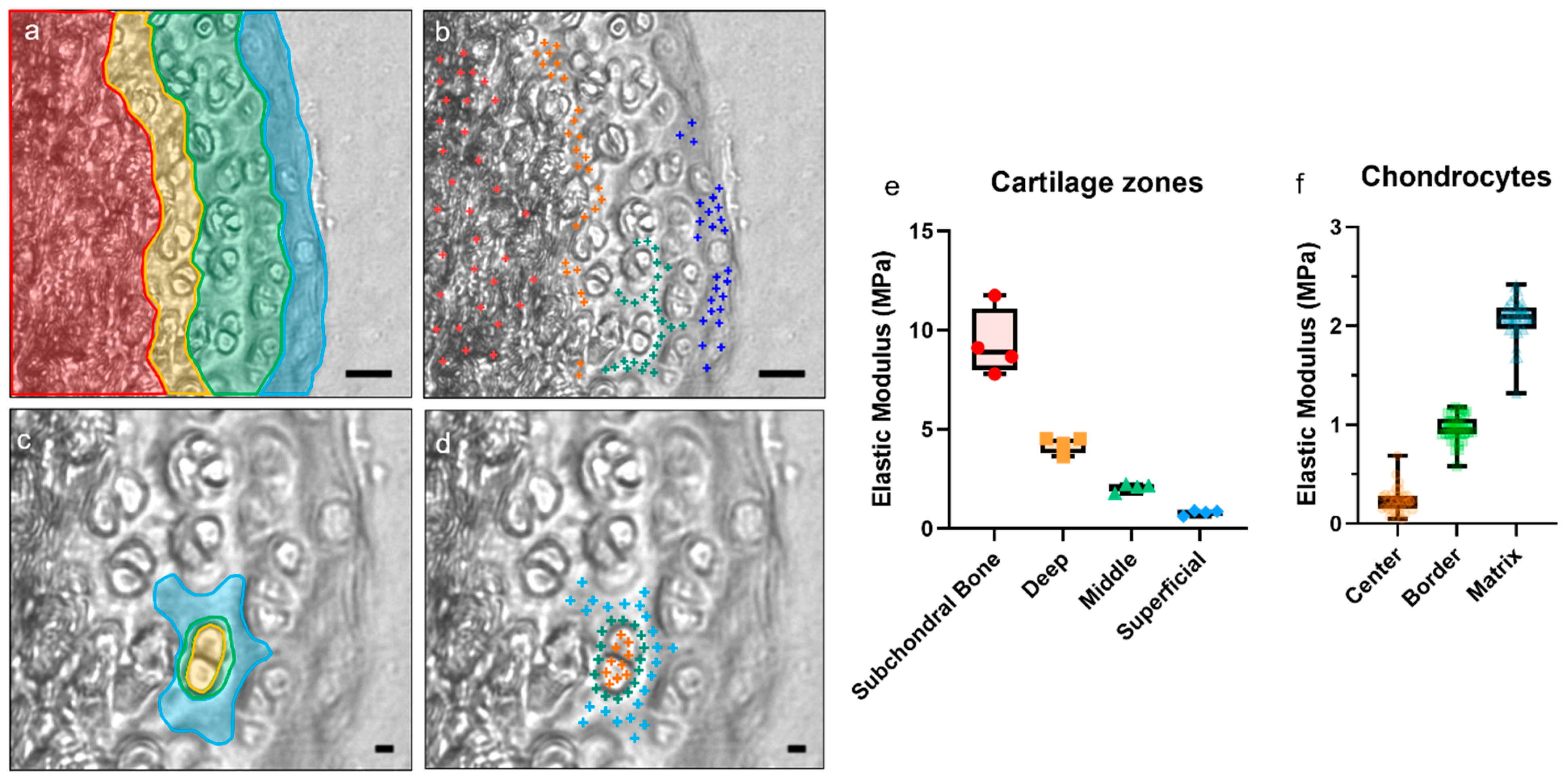 Sensors 23 01835 g007 Sensors 23 01835 g007