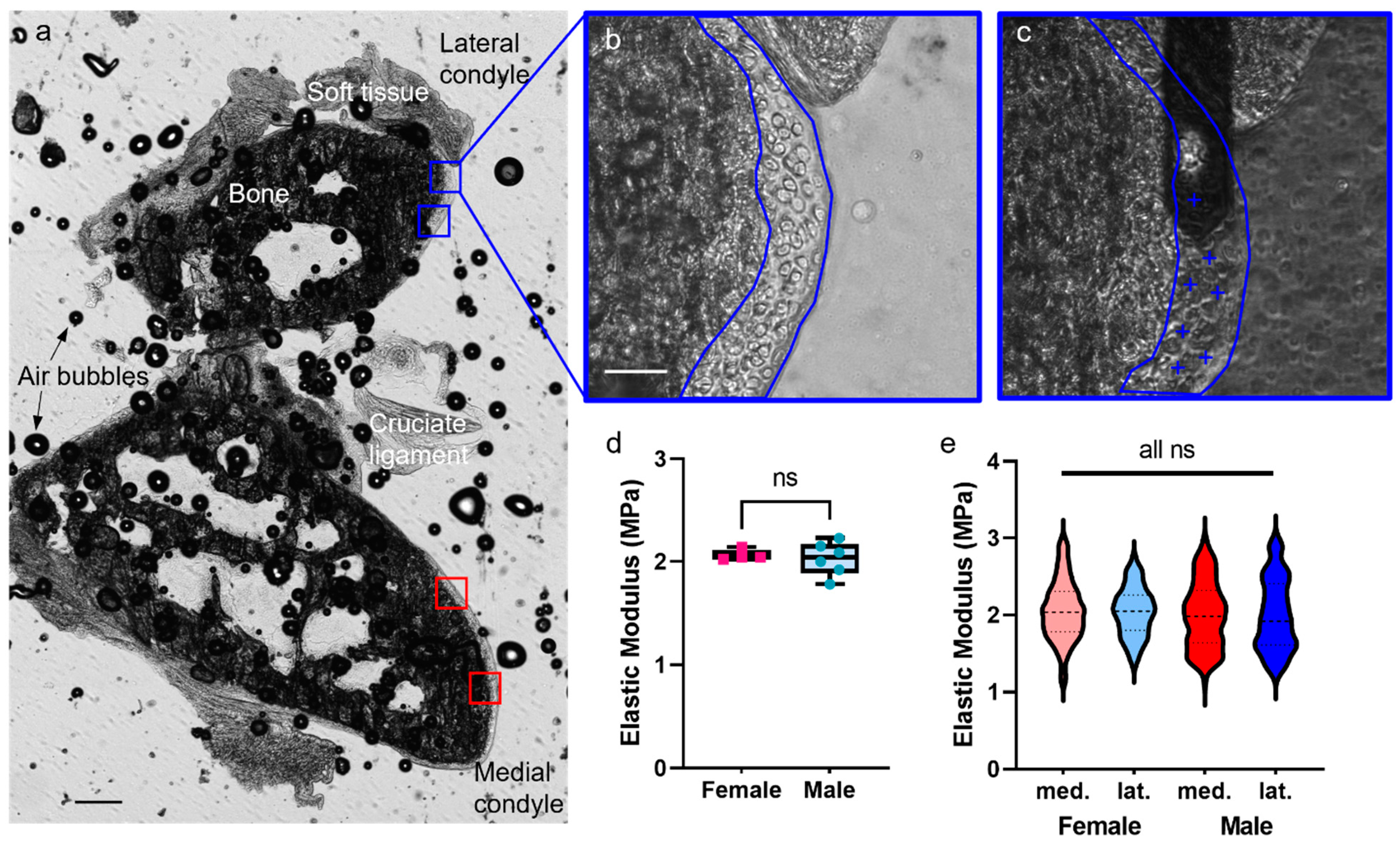 Sensors 23 01835 g008 Sensors 23 01835 g008