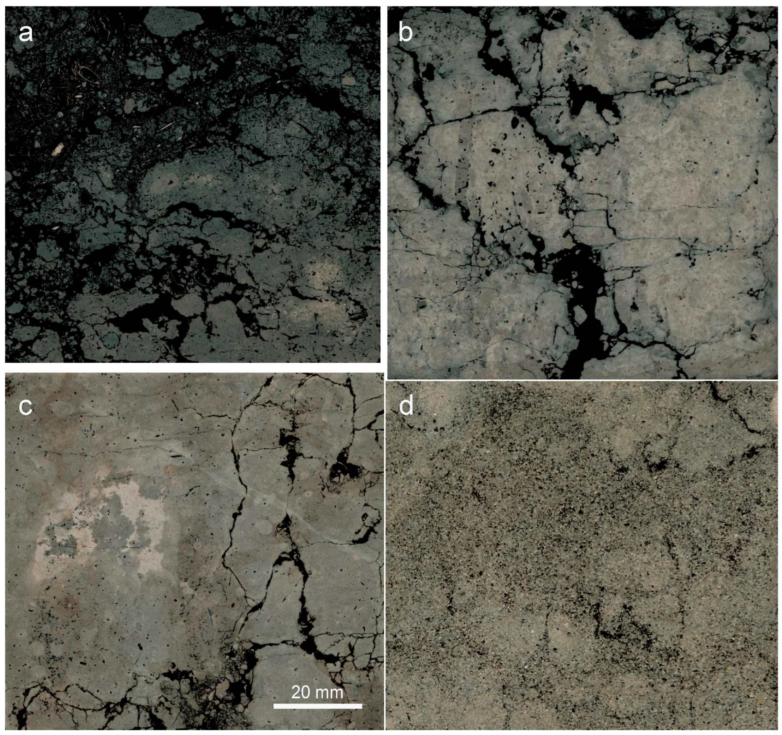 Sensors 23 01852 g001