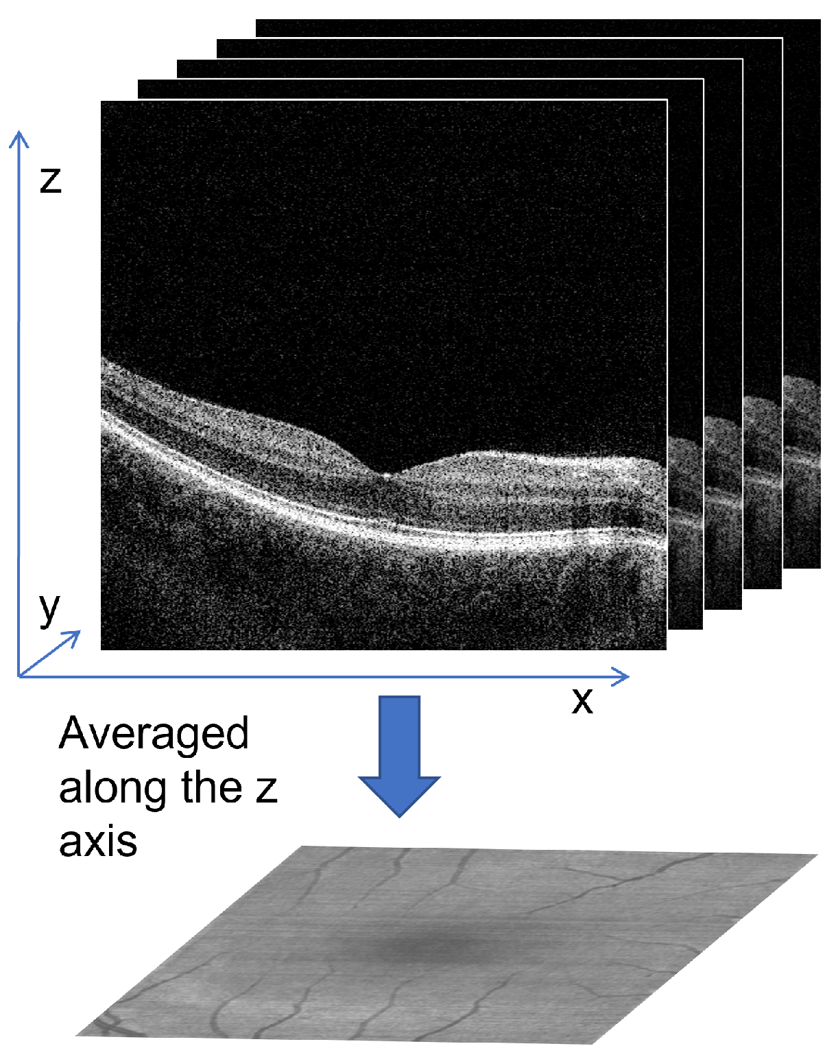 Sensors 23 01870 g001