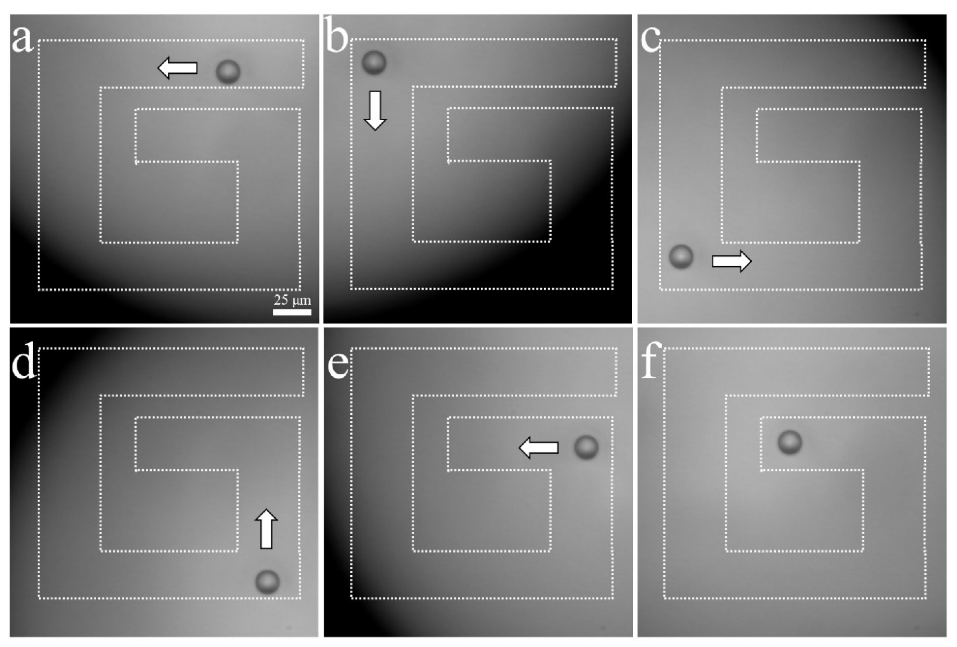 Sensors 23 01916 g010