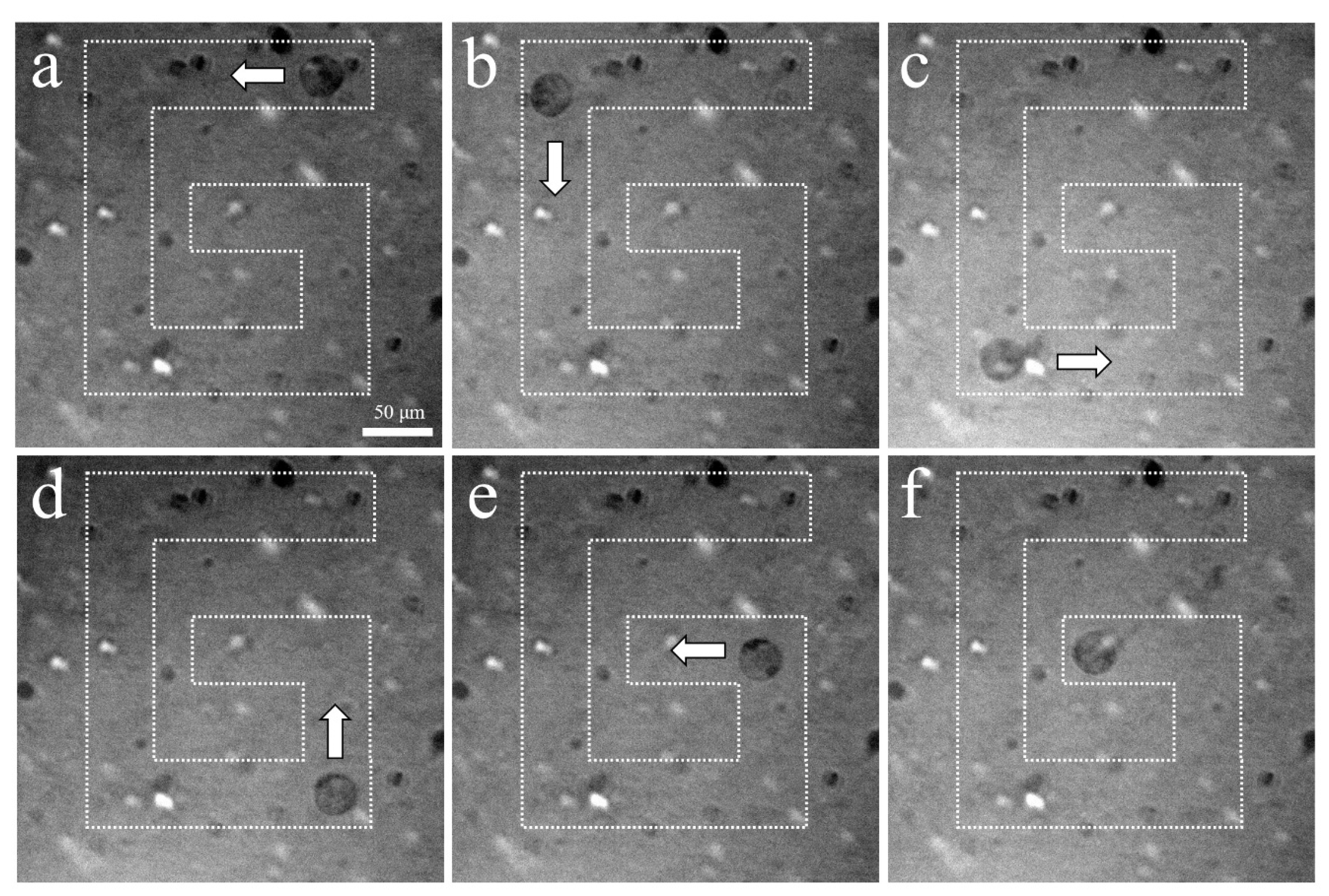 Sensors 23 01916 g011
