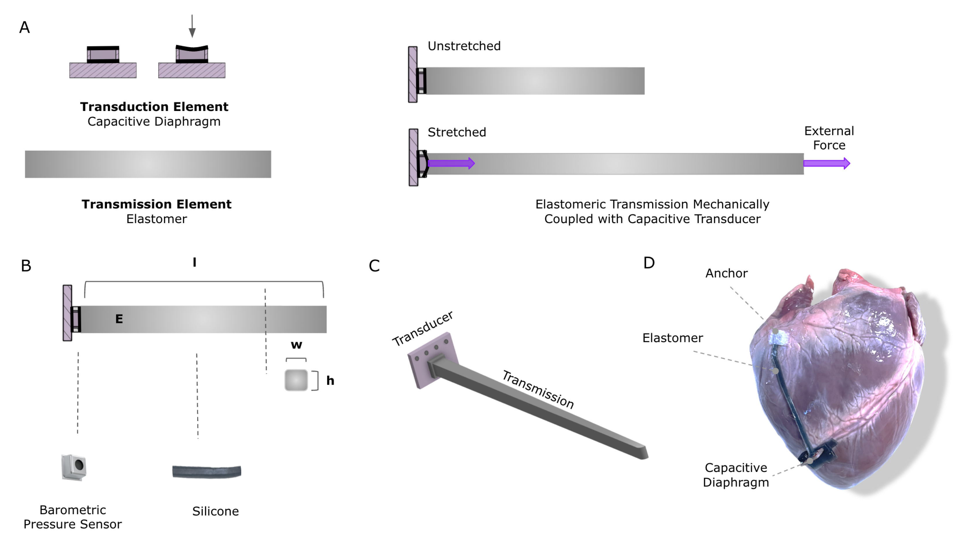 Sensors 23 01955 g001