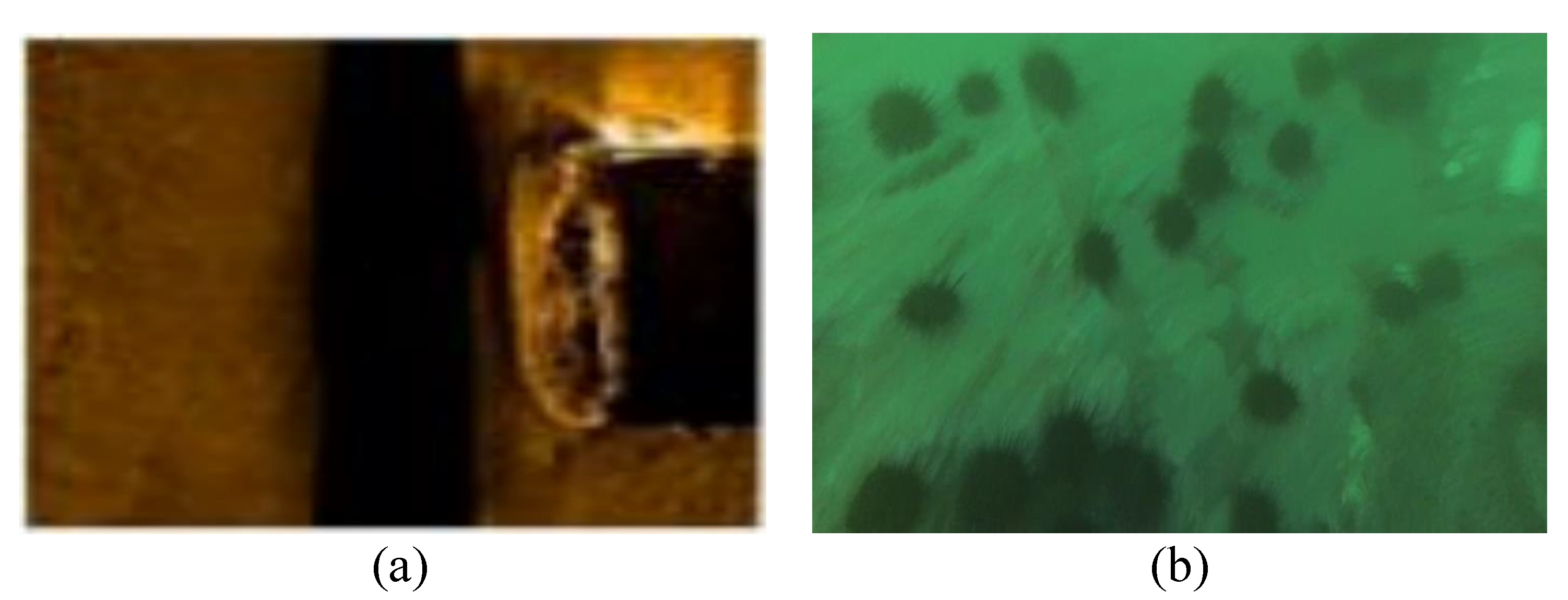 Sensors 23 01990 g002