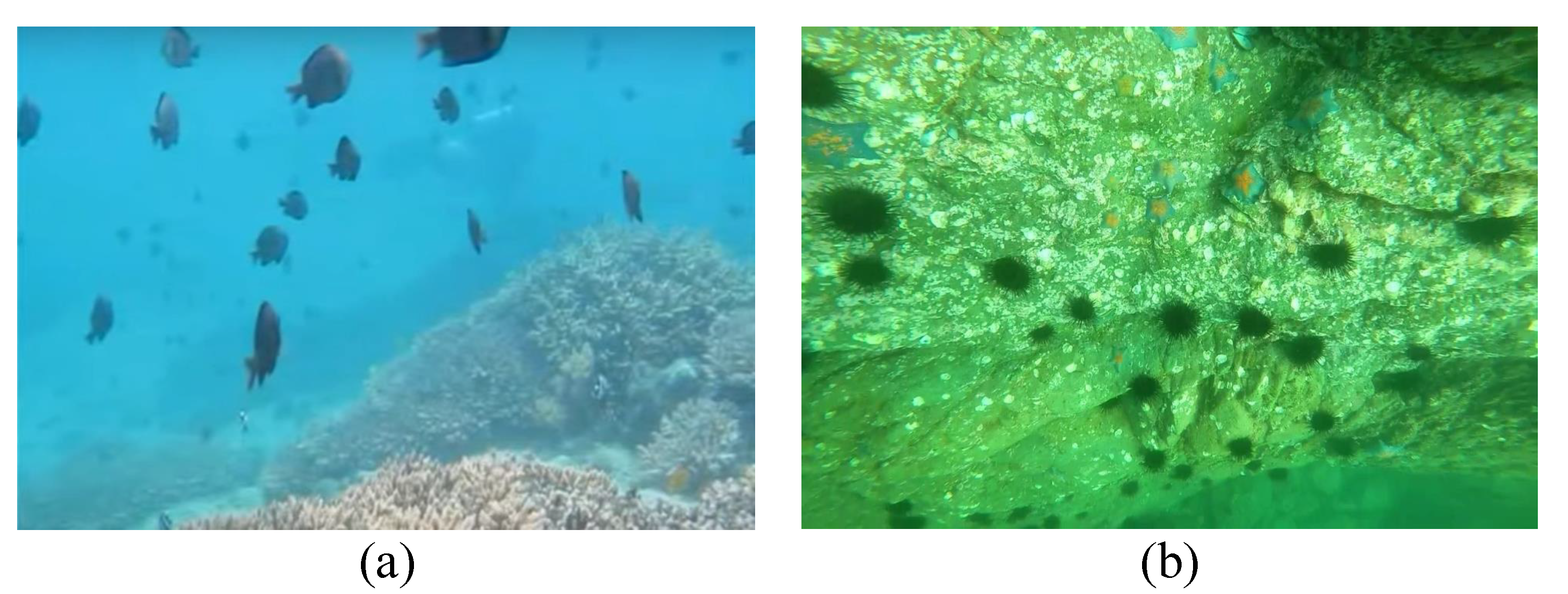 Sensors 23 01990 g005