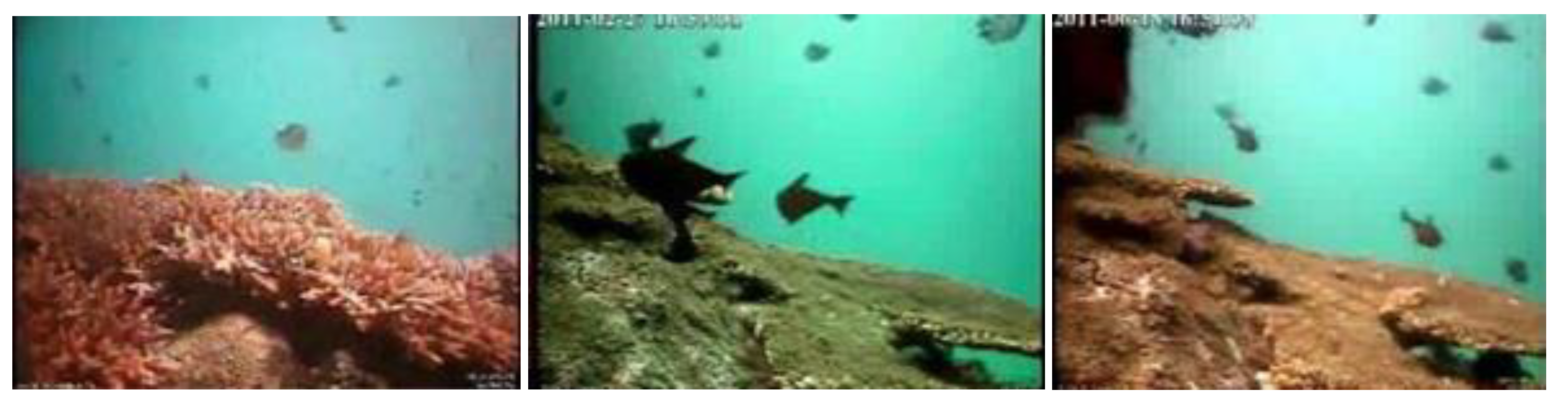 Sensors 23 01990 g022