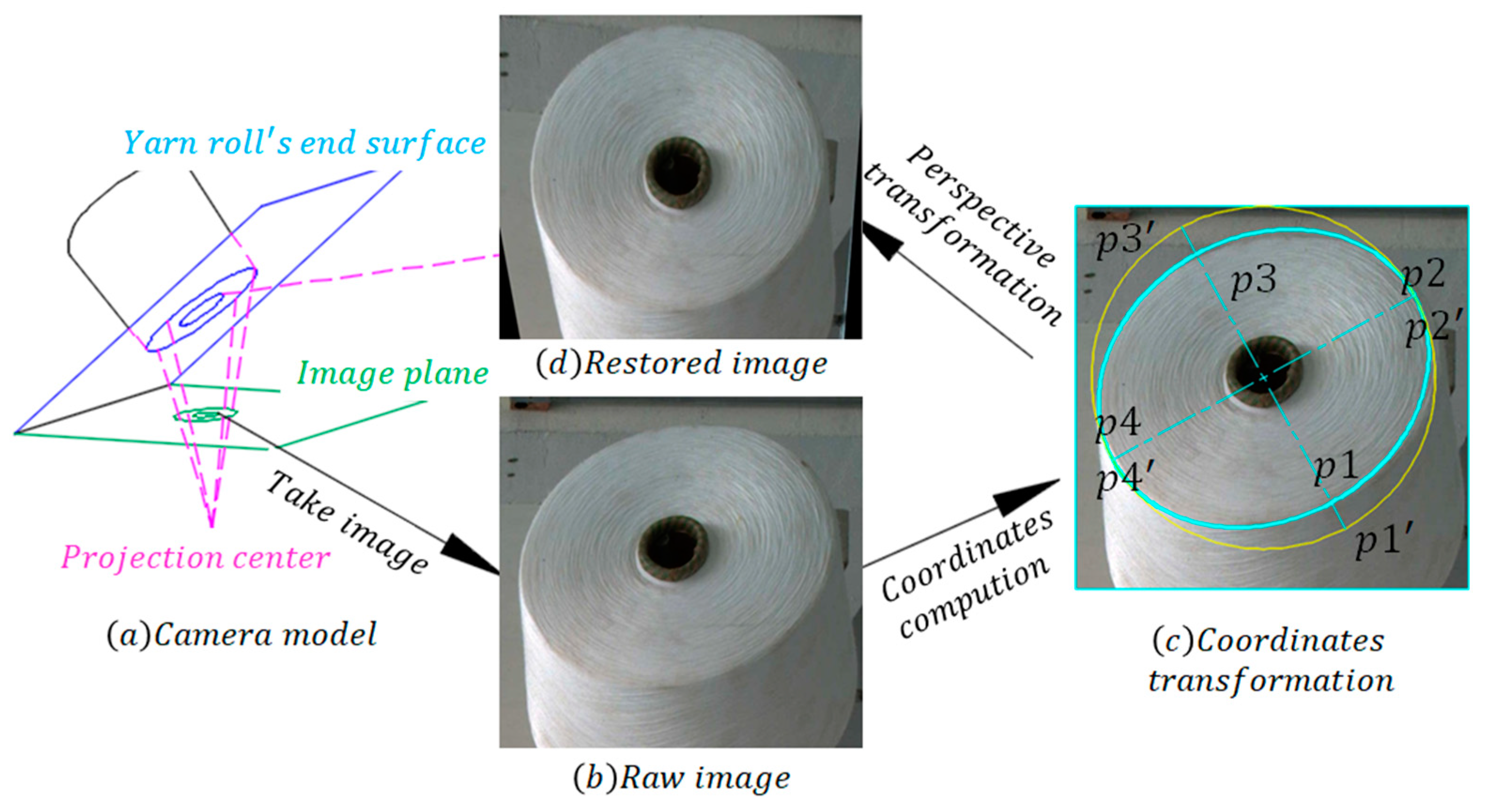 Sensors 23 01993 g006