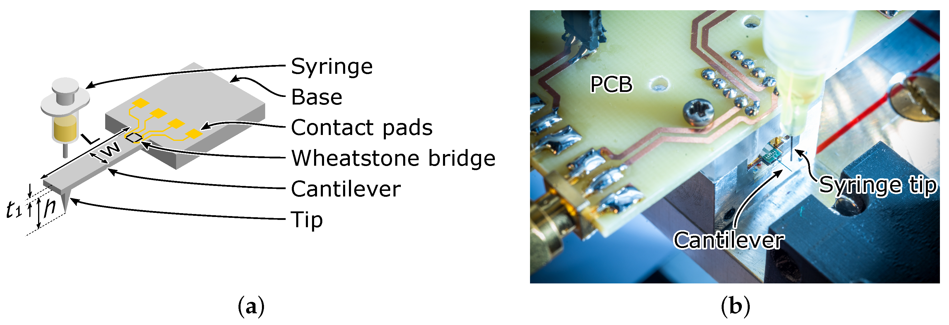 Sensors 23 02003 g002