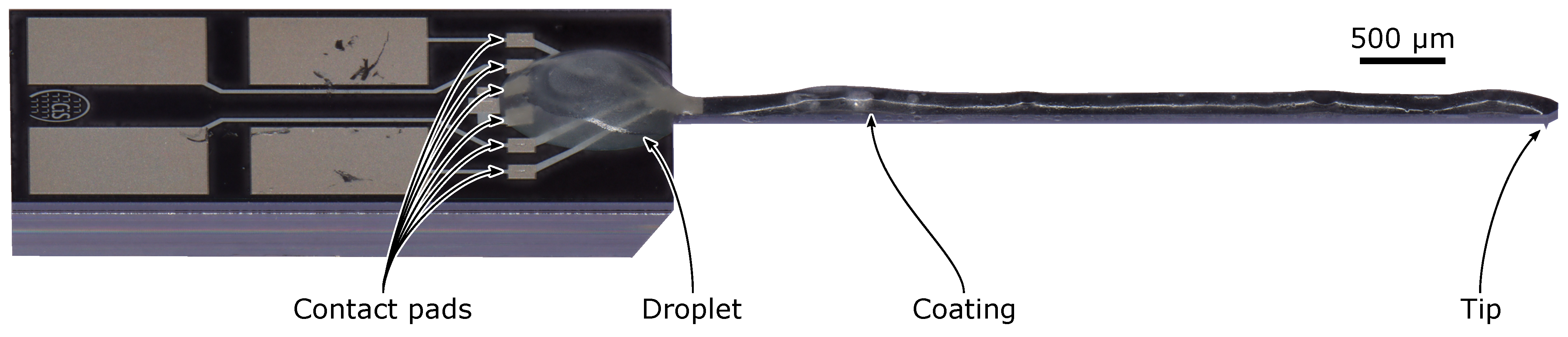 Sensors 23 02003 g004