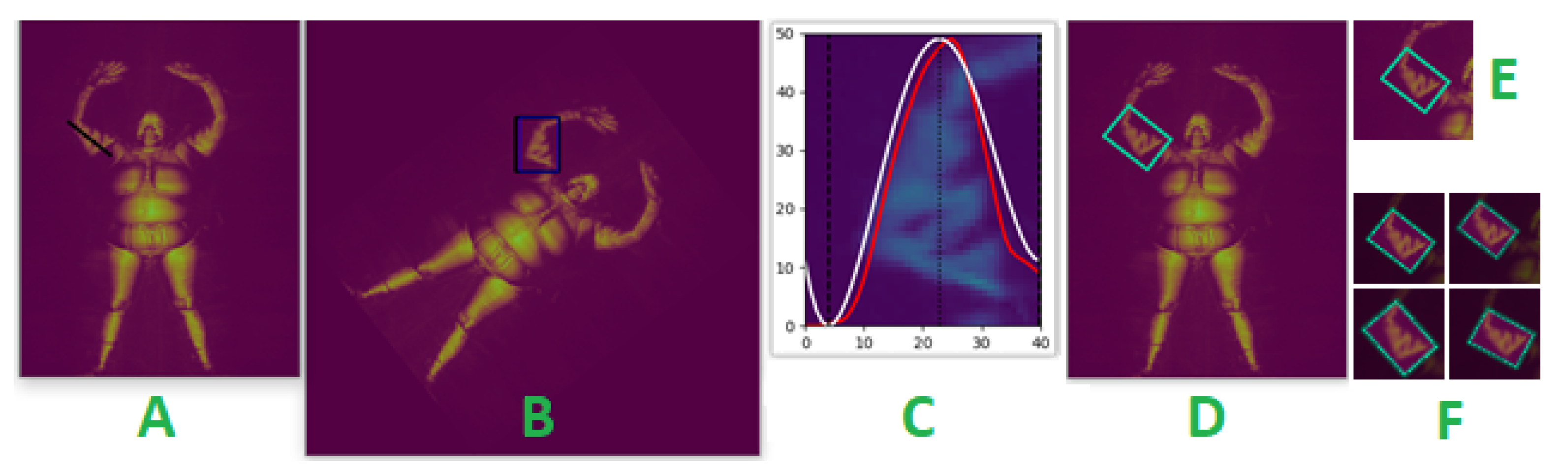 Sensors 23 02005 g006