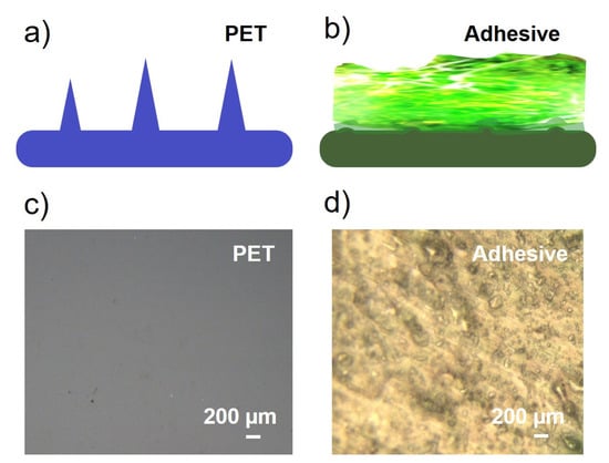 Sensors 23 02021 g0a3 550
