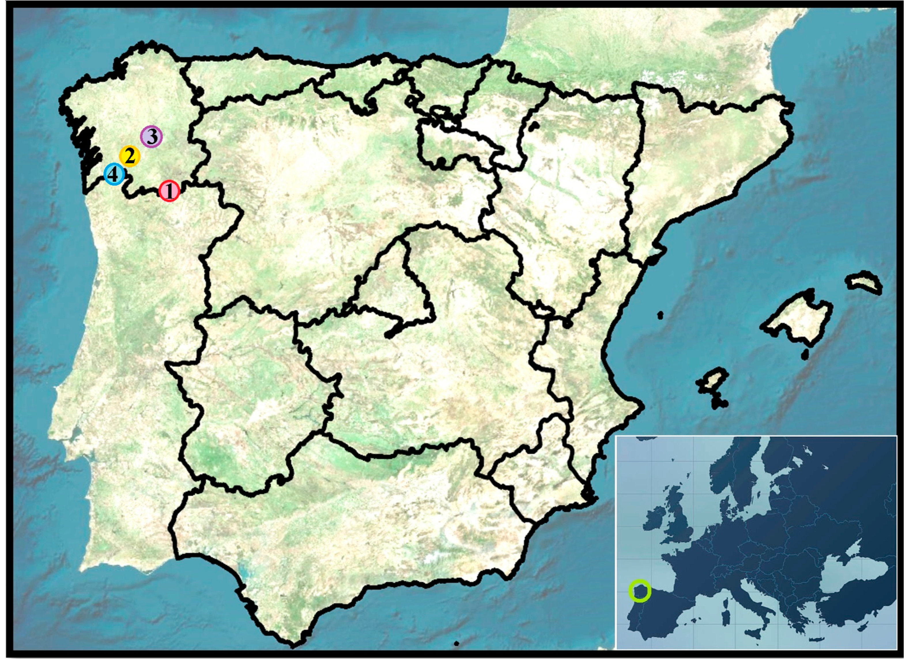 Sensors 23 02059 g001