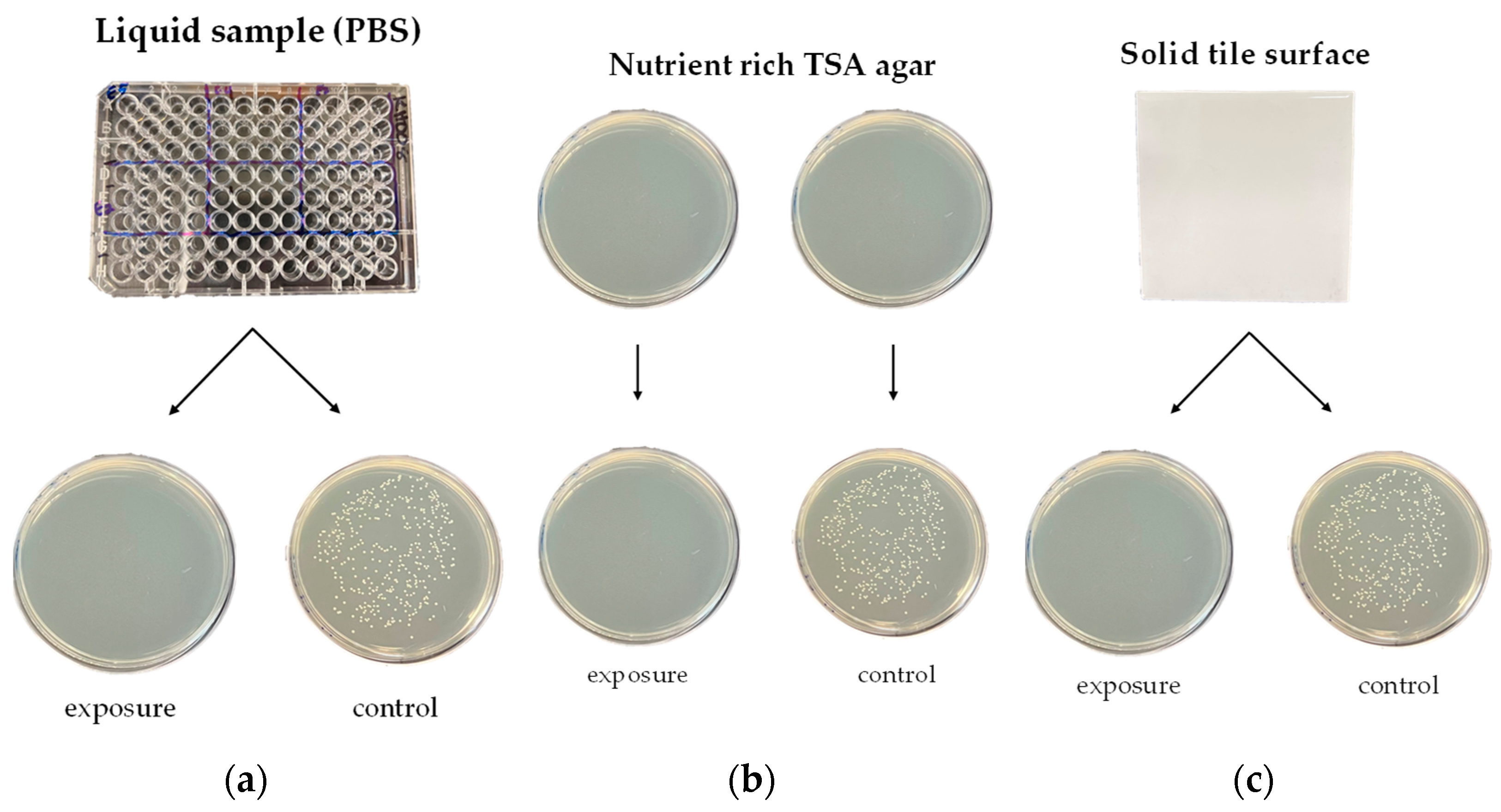 Sensors 23 02135 g002