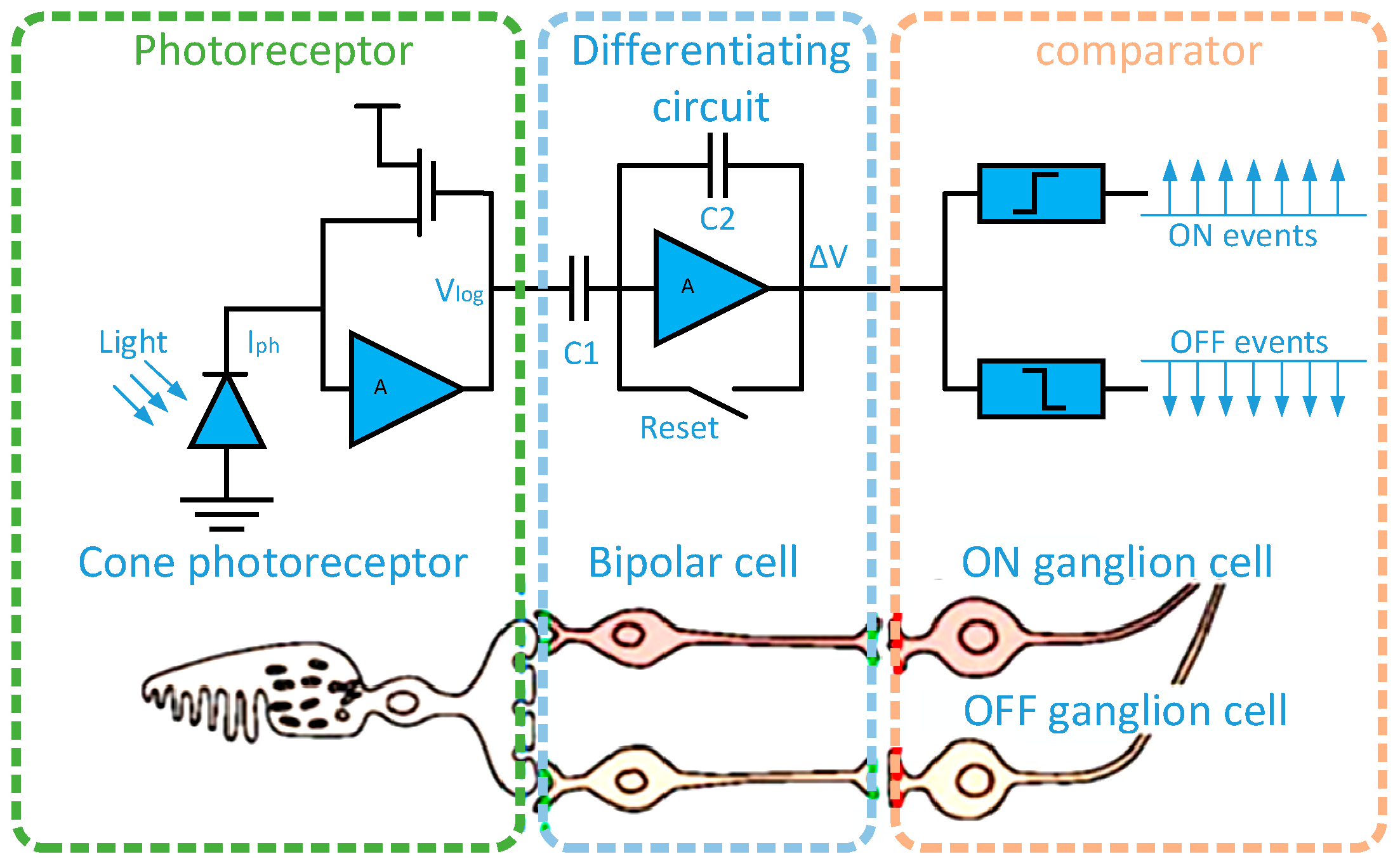 Sensors 23 02155 g001