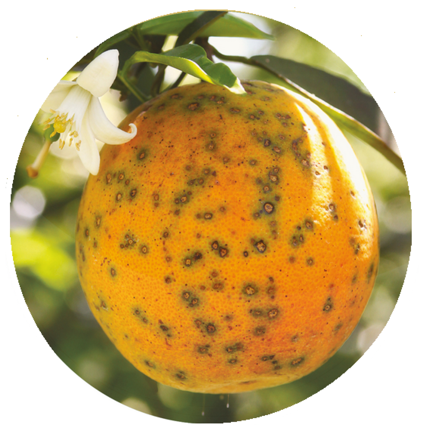 Sensors 23 02165 g001