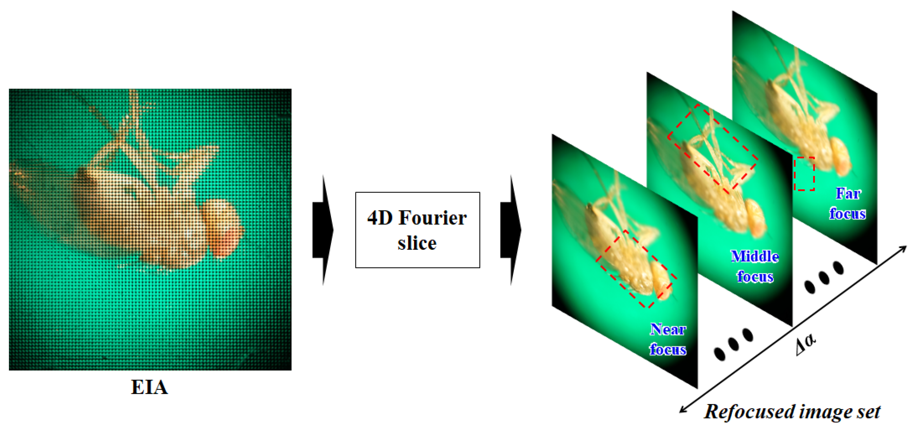 Sensors 23 02173 g003