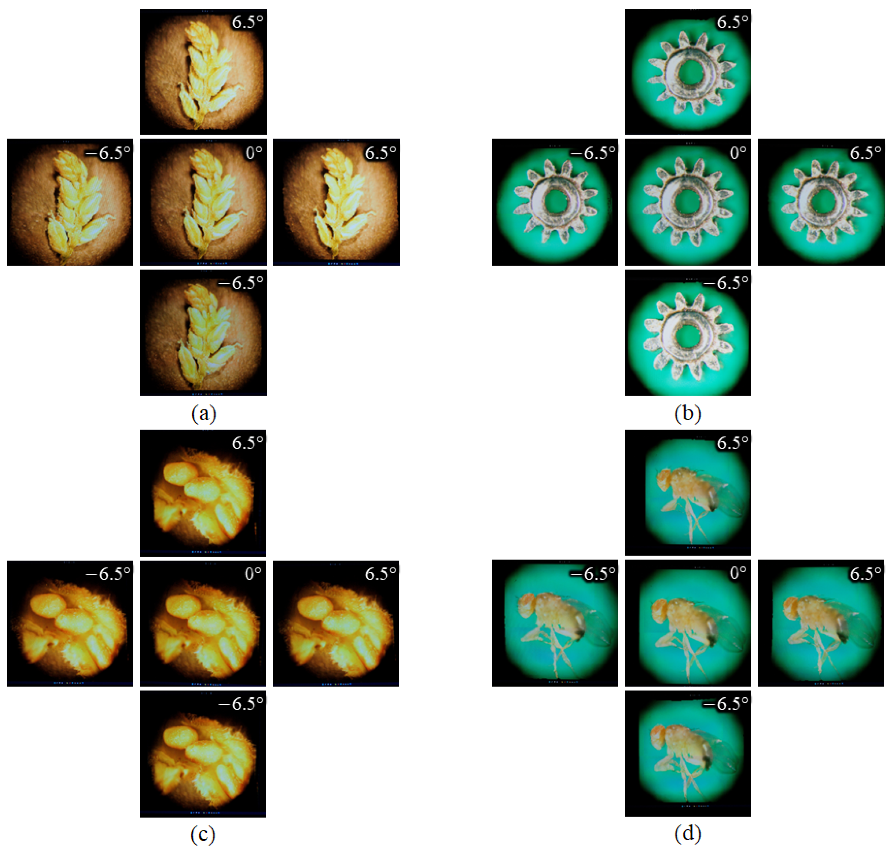 Sensors 23 02173 g012
