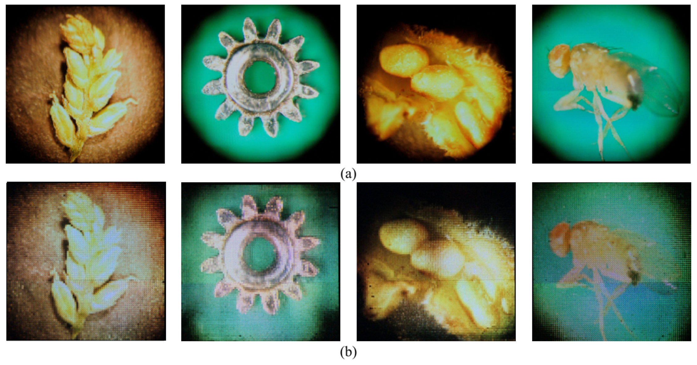 Sensors 23 02173 g014