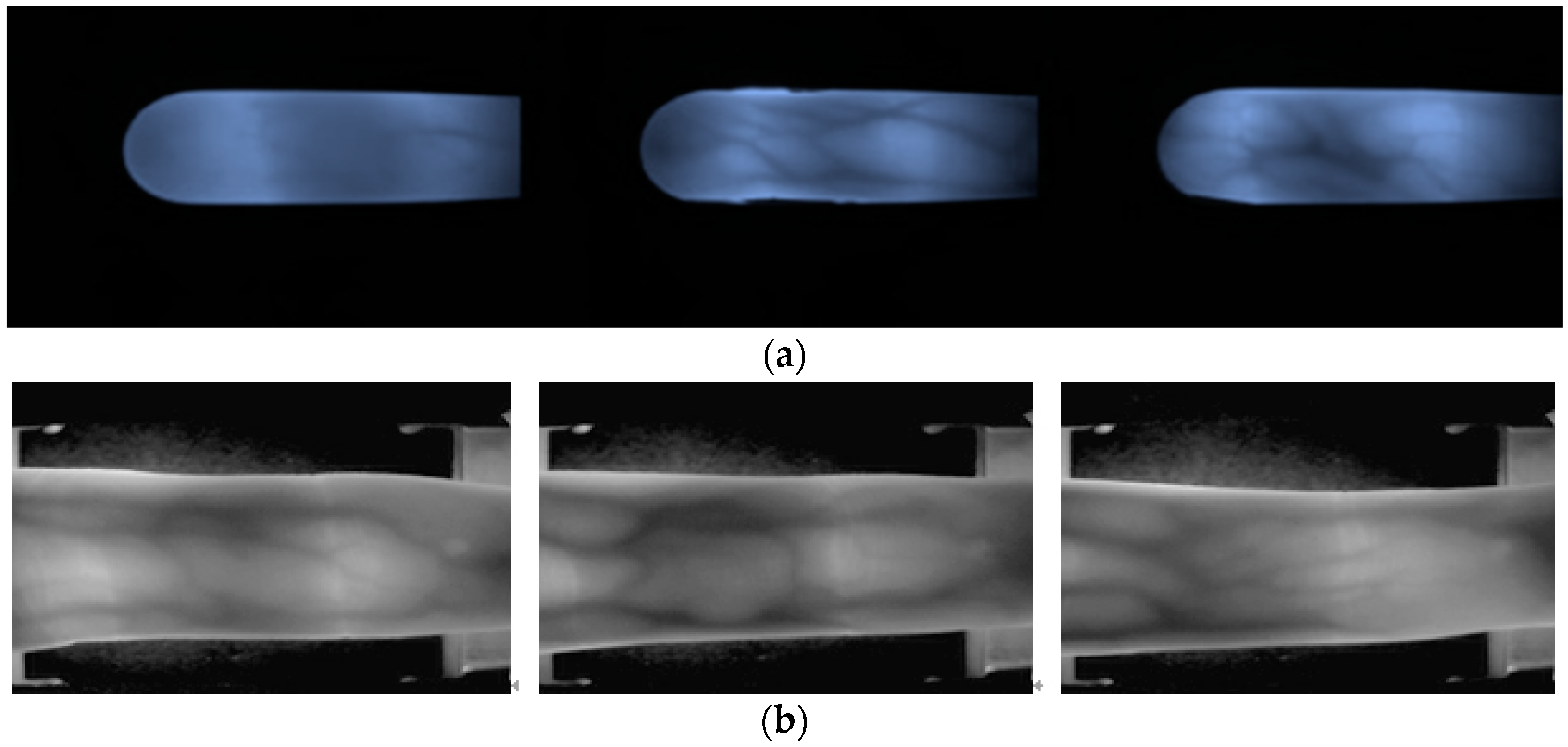 Sensors 23 02184 g013 Sensors 23 02184 g013