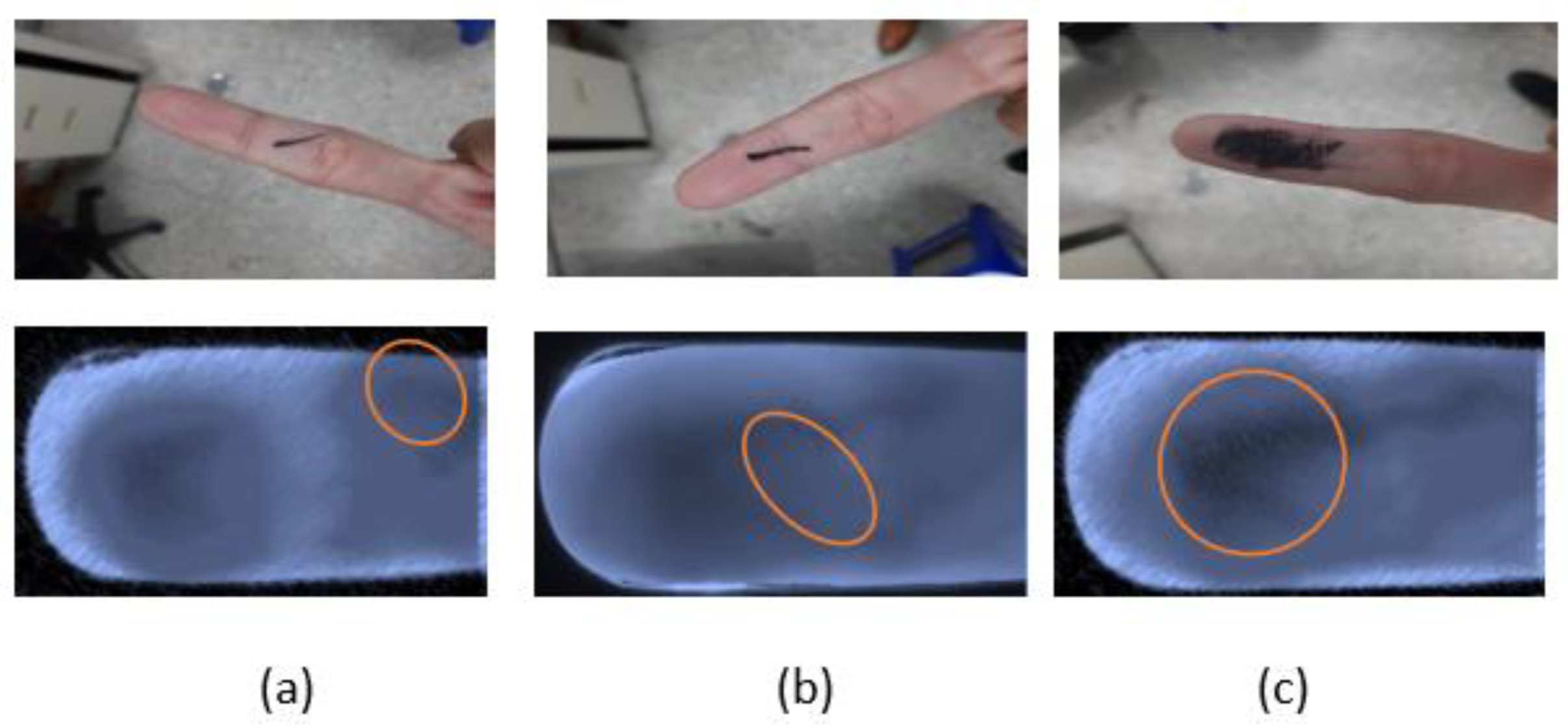 Sensors 23 02184 g016 Sensors 23 02184 g016