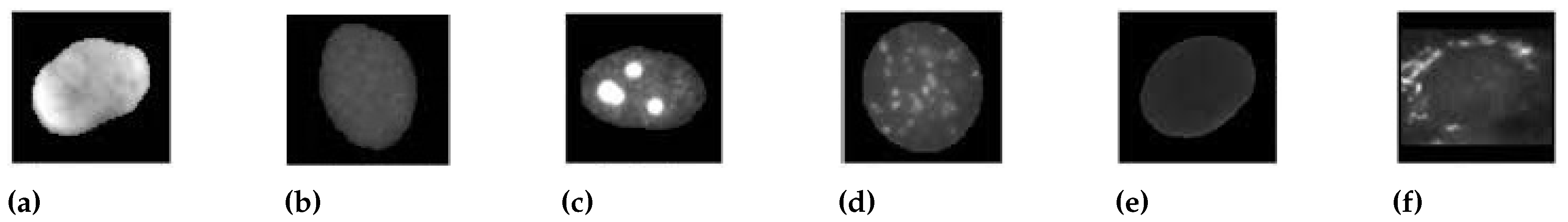 Sensors 23 02195 g004 Sensors 23 02195 g004