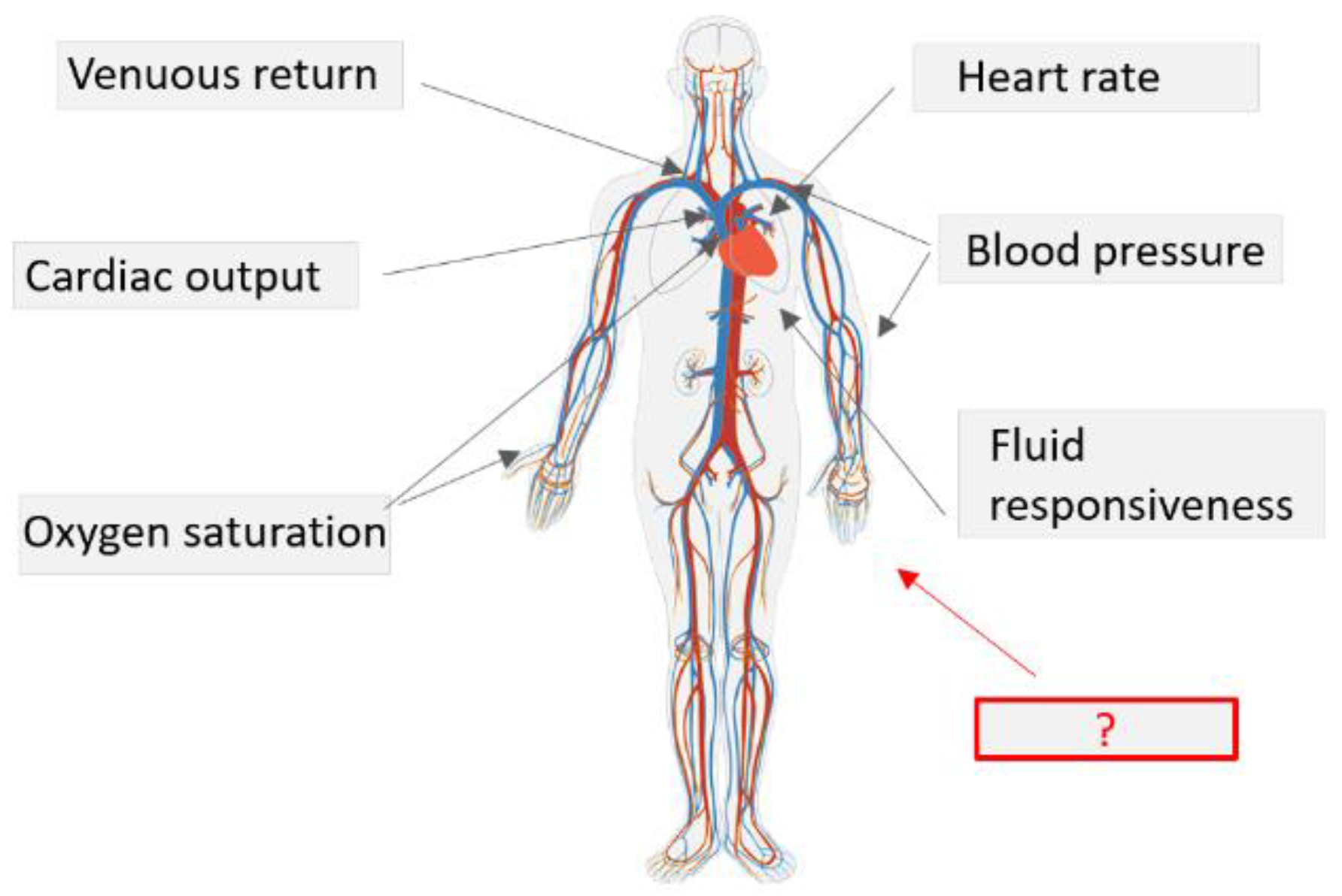Sensors 23 02226 g001 Sensors 23 02226 g001