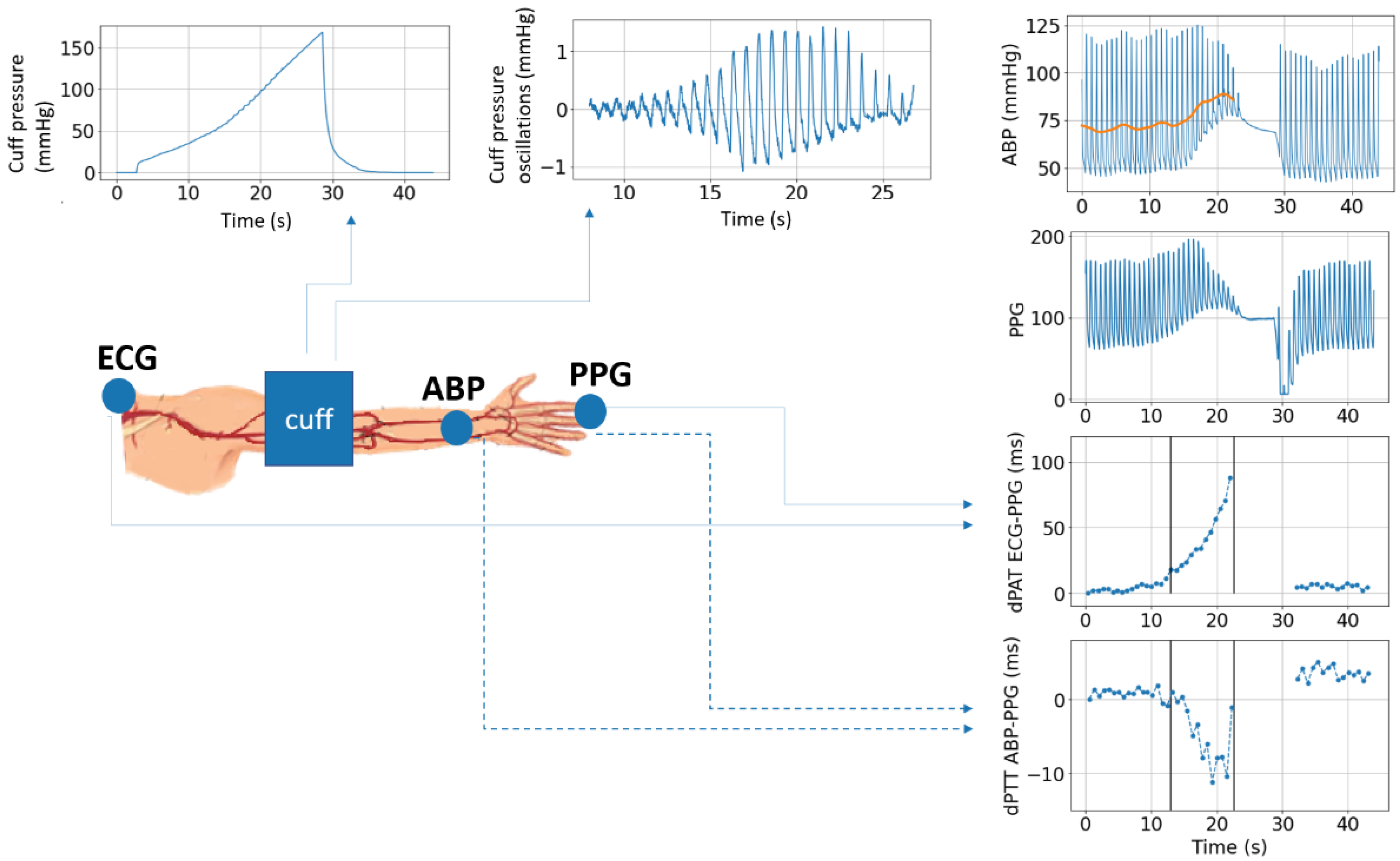 Sensors 23 02226 g002 Sensors 23 02226 g002