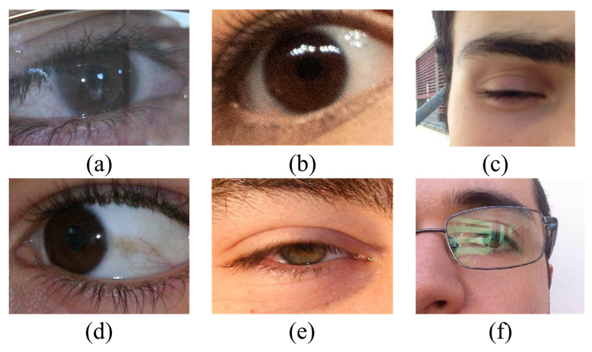 Sensors 23 02238 g002 Sensors 23 02238 g002