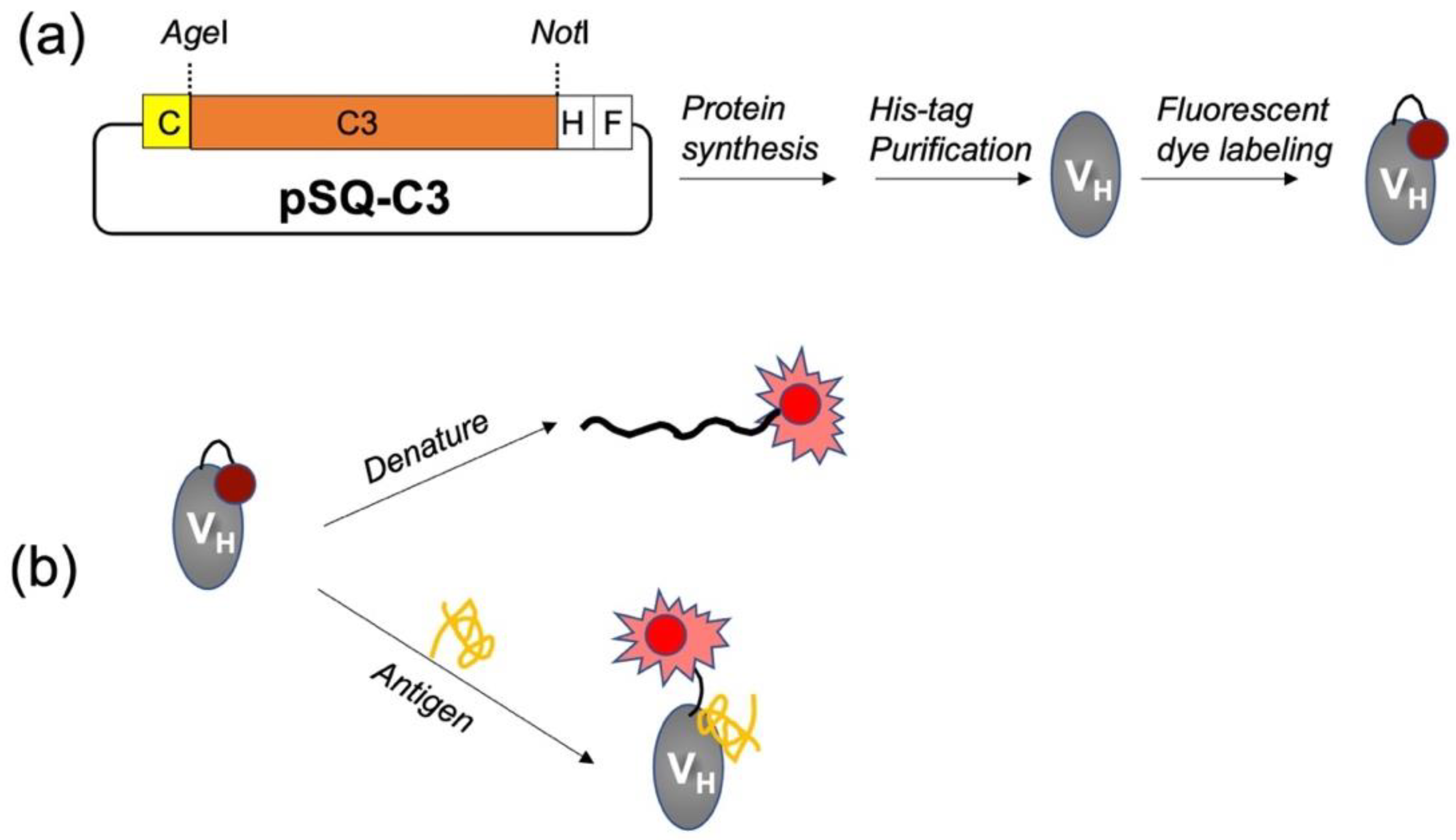 Sensors 23 02251 g001