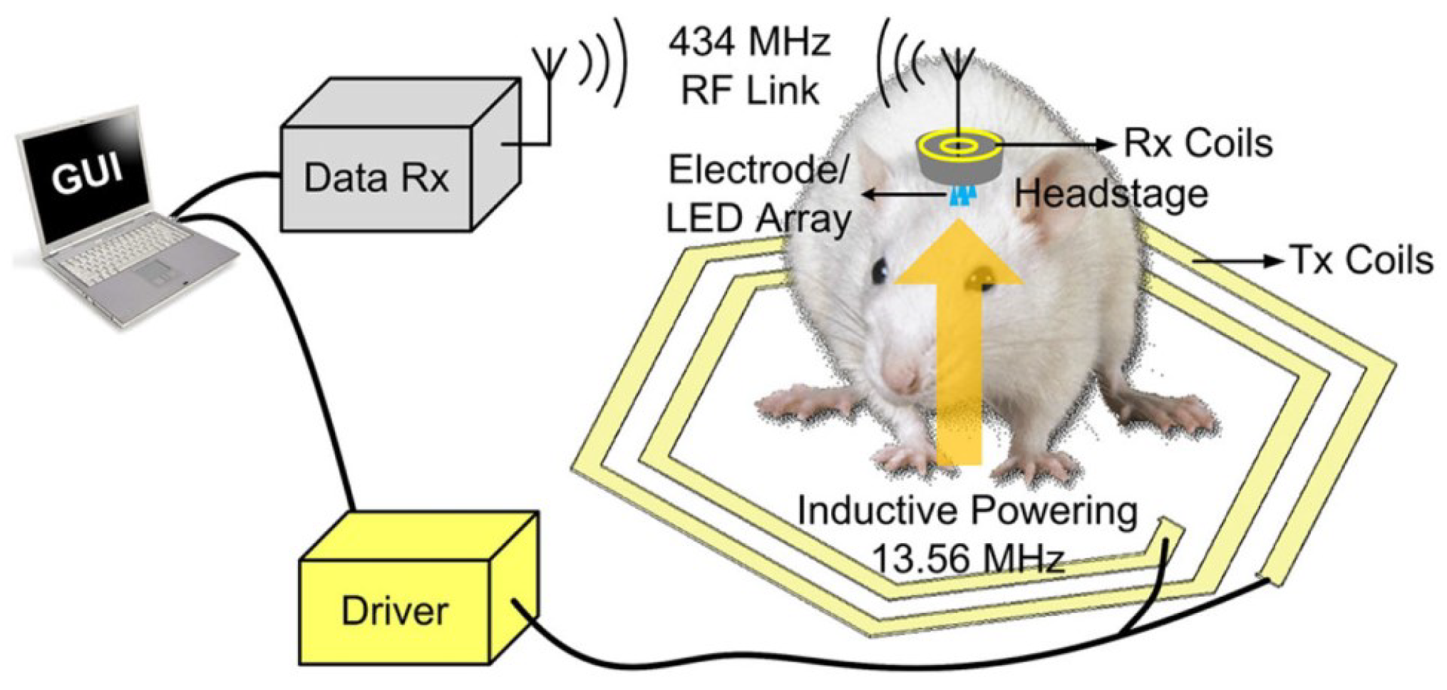 Sensors 23 02277 g007 Sensors 23 02277 g007