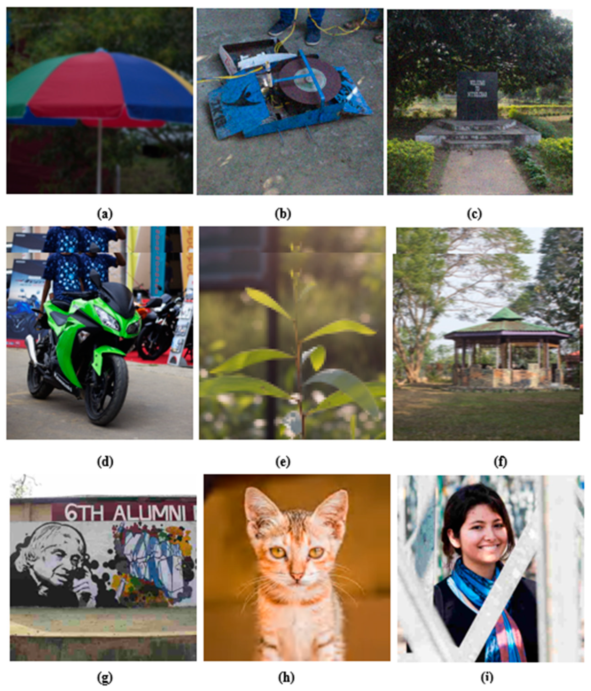 Sensors 23 02279 g003 Sensors 23 02279 g003