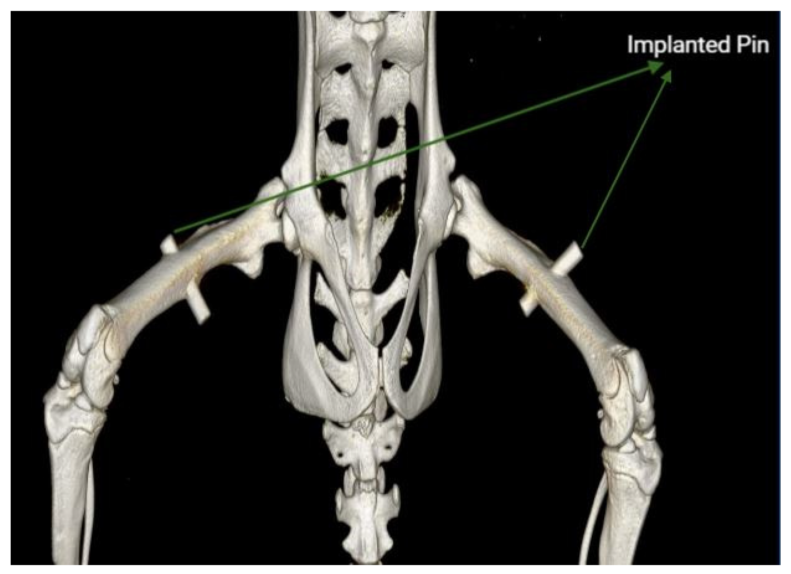 Sensors 23 02297 g001 Sensors 23 02297 g001